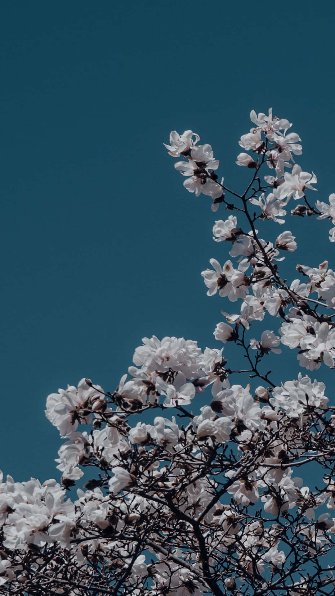 White Vintage Flower