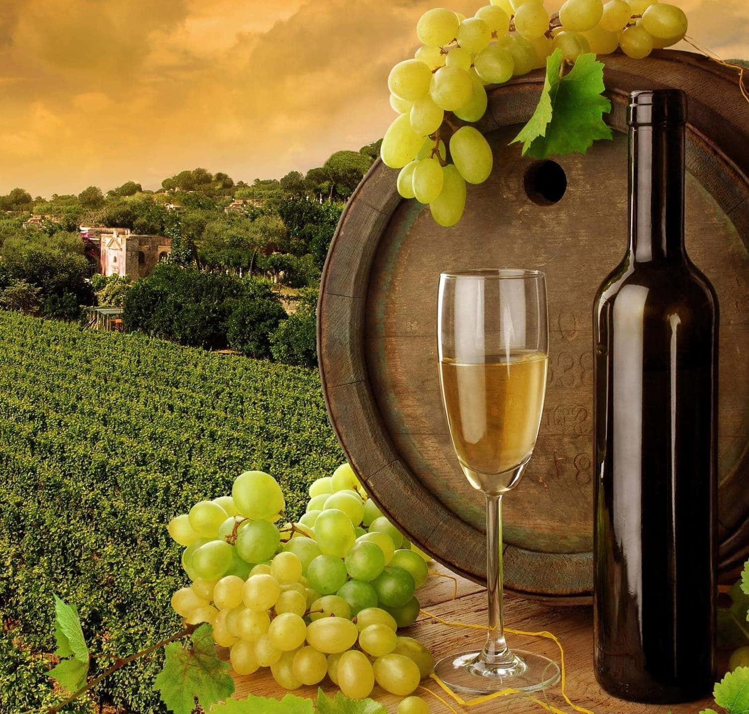 White Wine In Vineyard Background