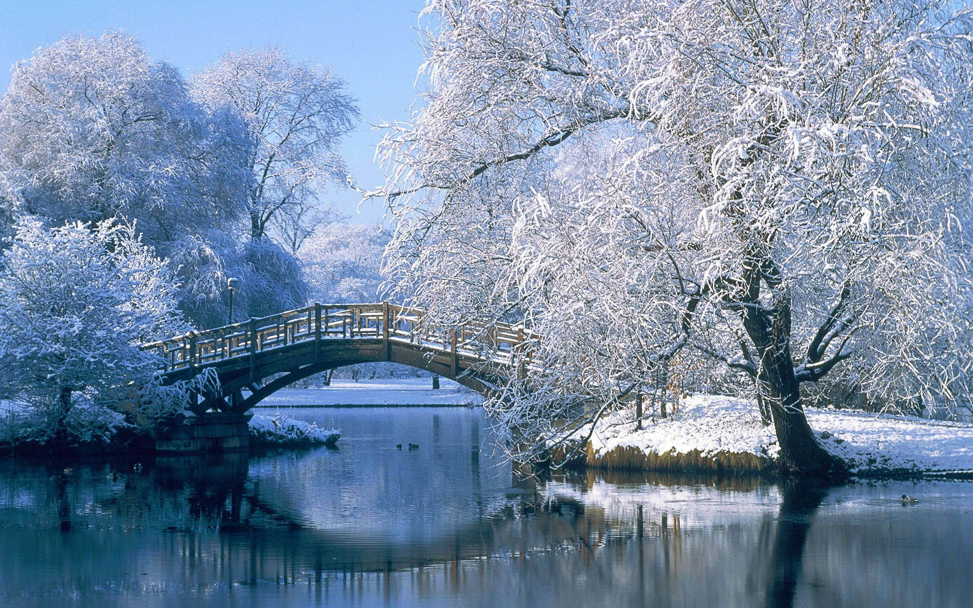 White Winter Bridge Background