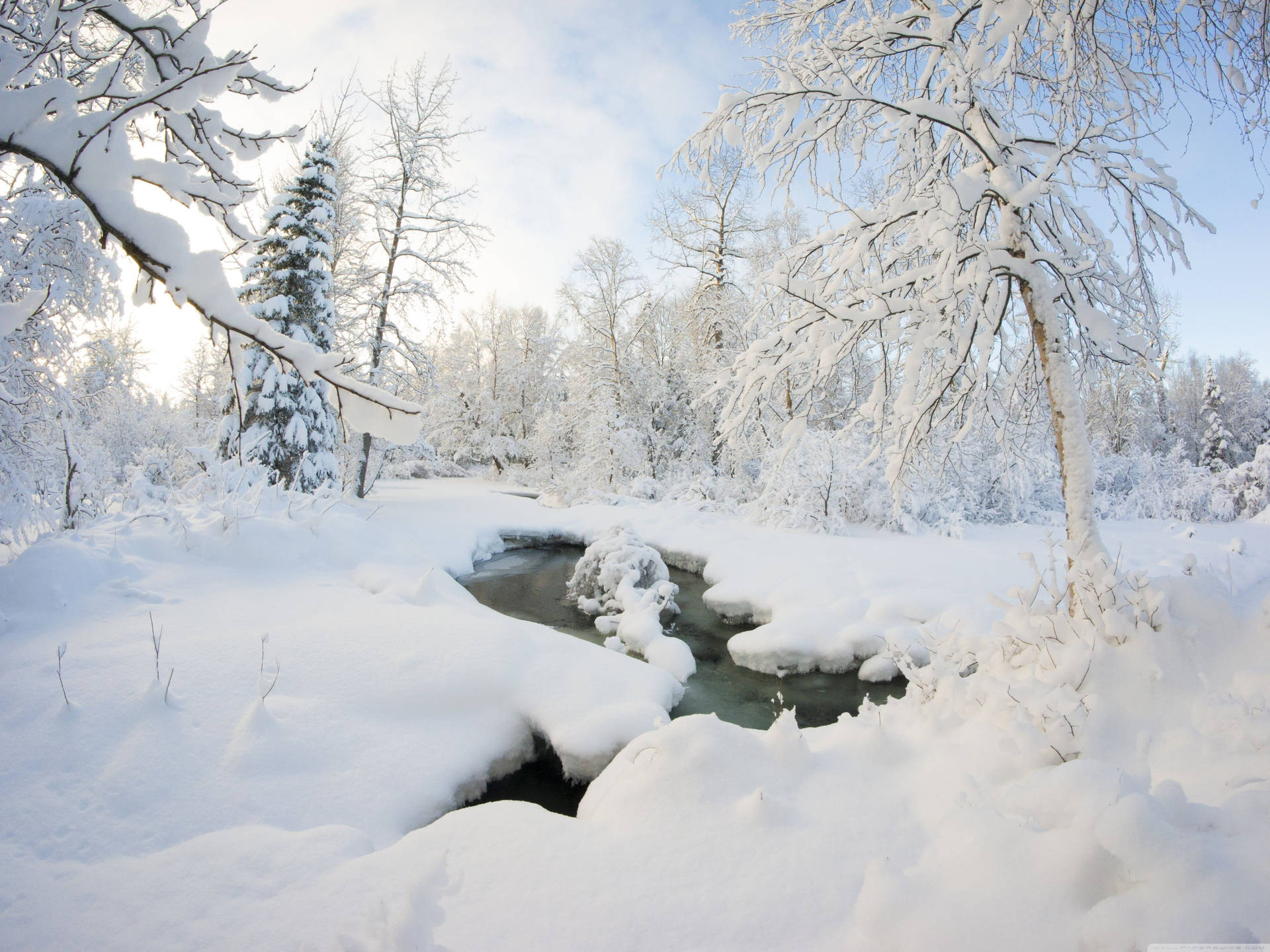 White Winter Landscape Background