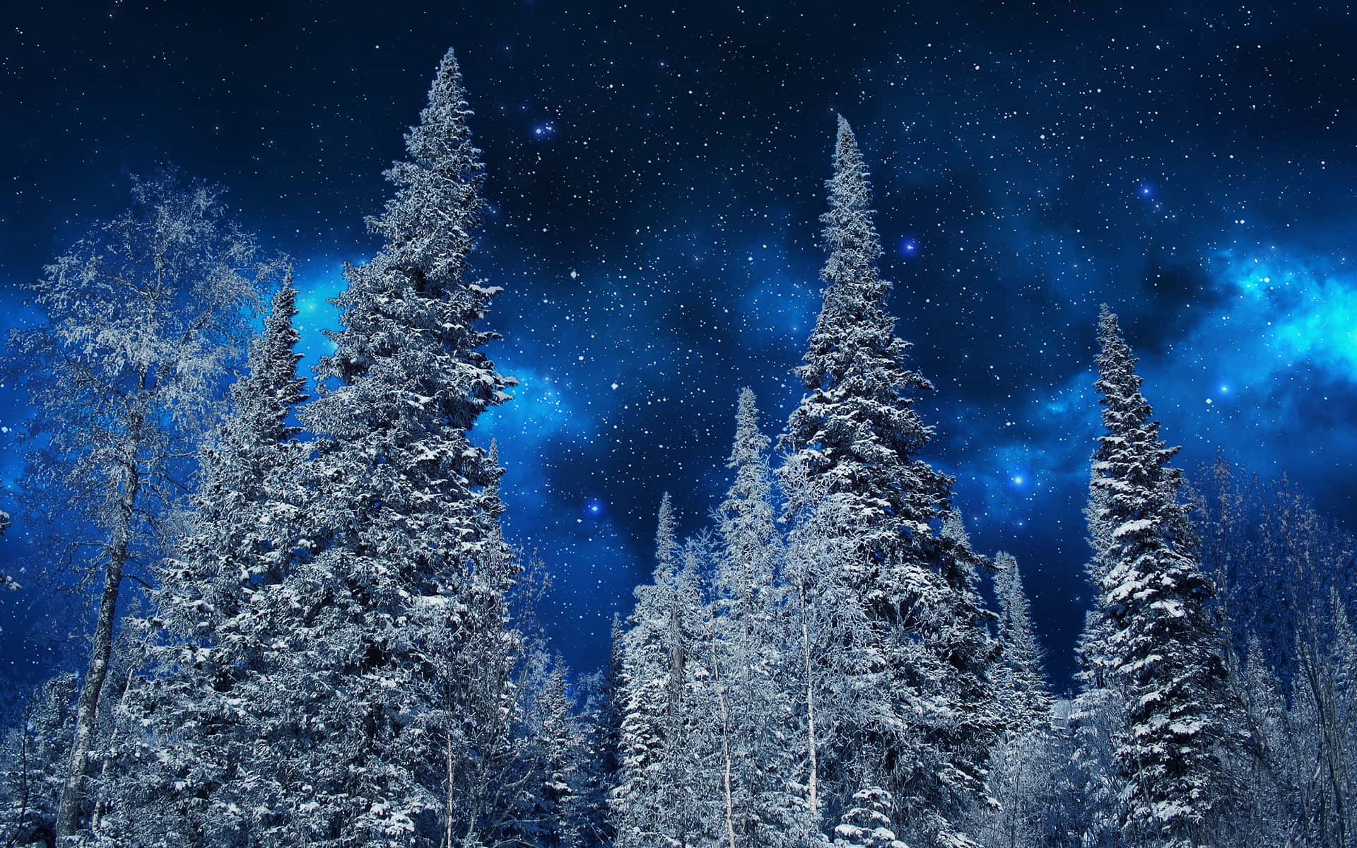 White Winter Wonderland Background