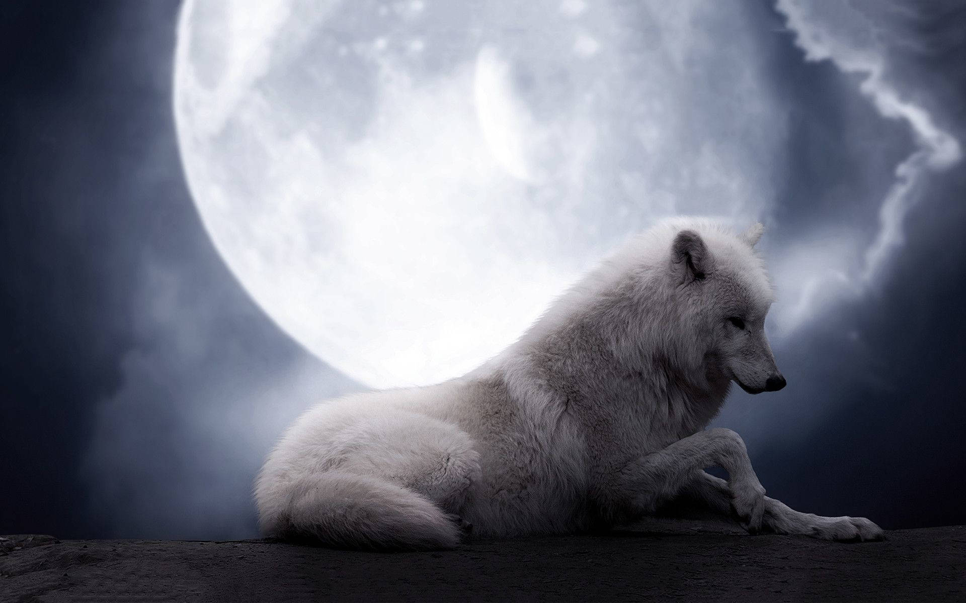 White Wolf And Moon Desktop Background