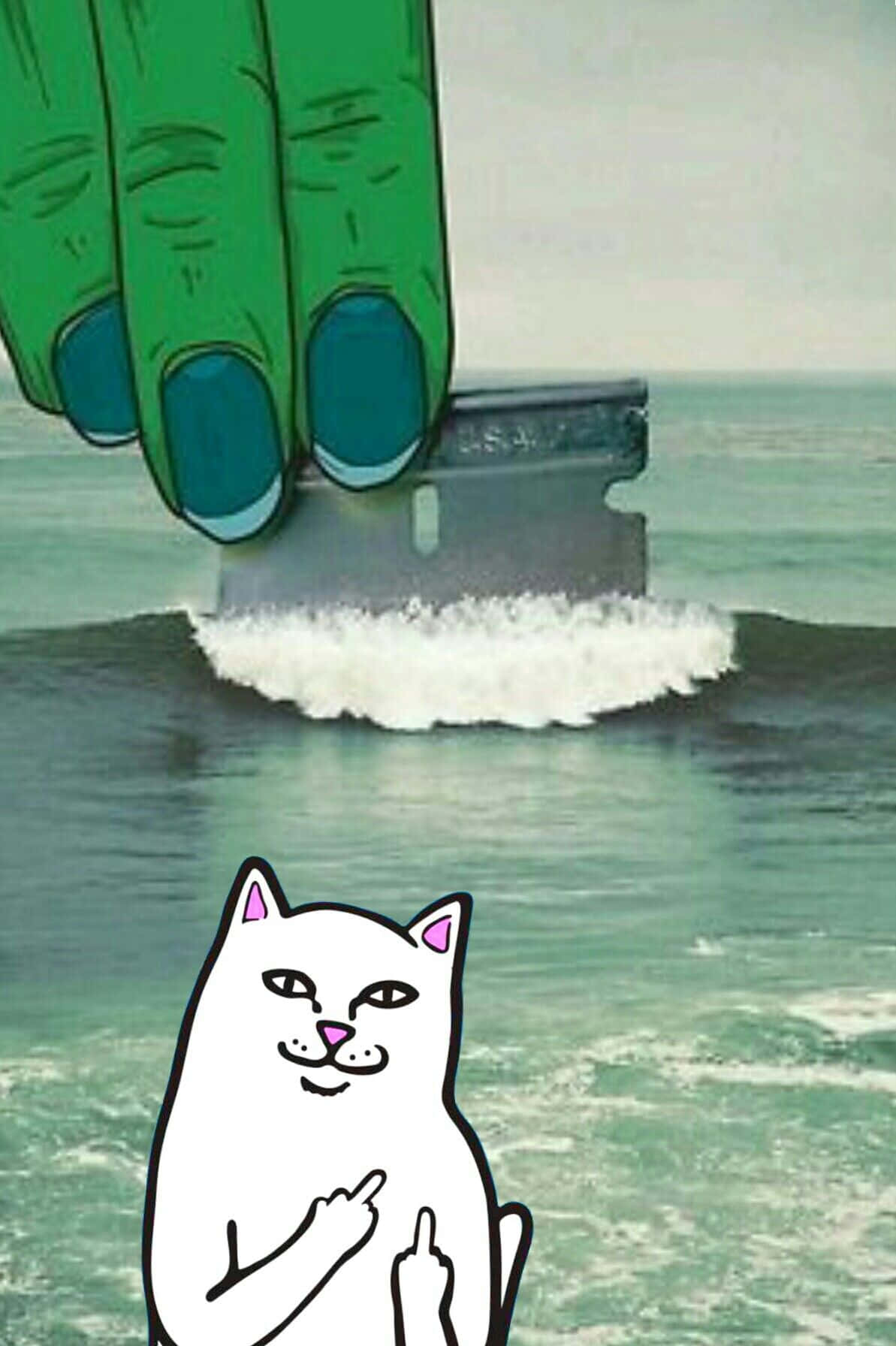 Who Else But Ripndip Is Always Here To Brighten Your Day? Background