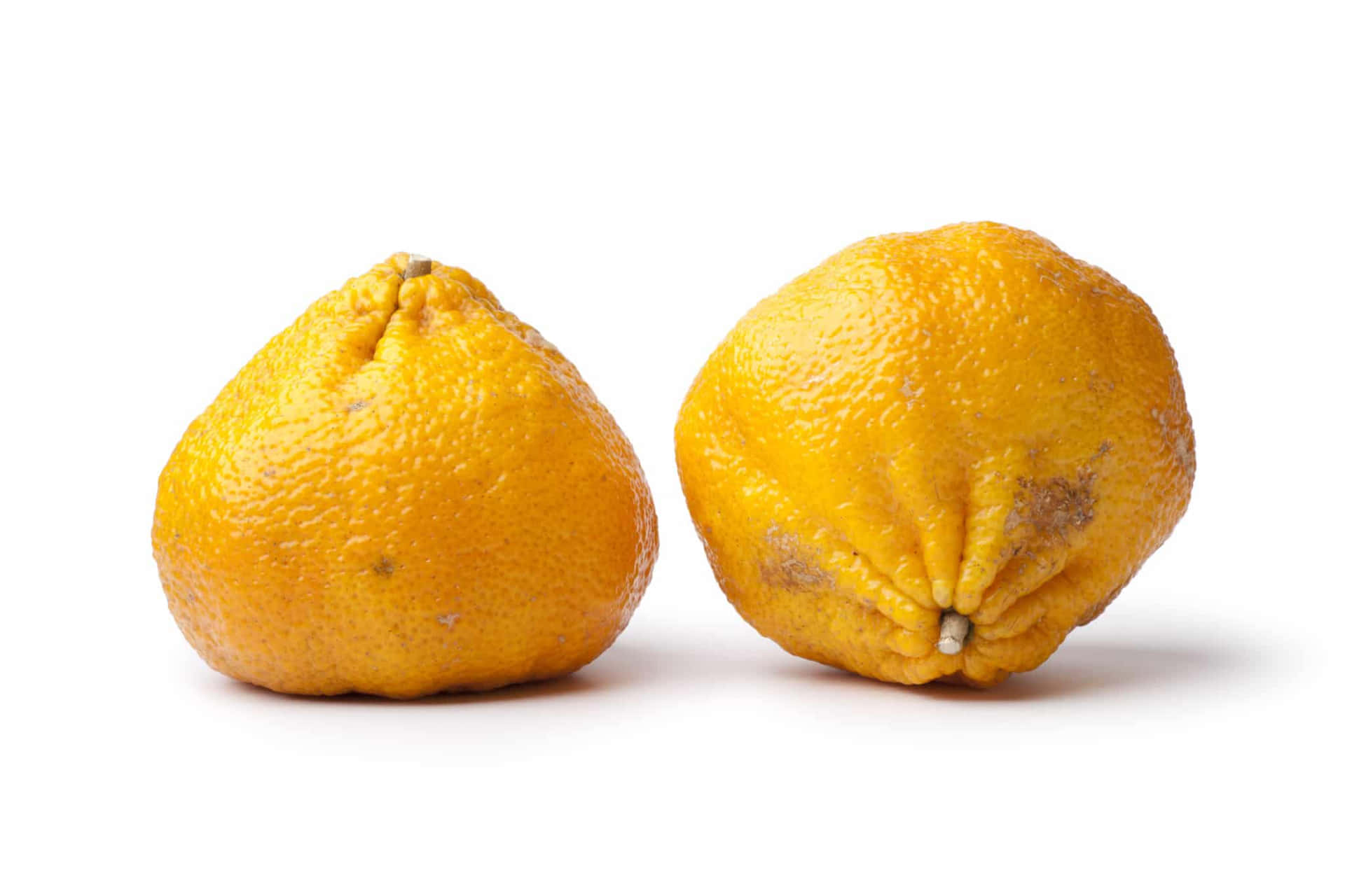 Whole Yellow Ugli Citrus Fruits Background