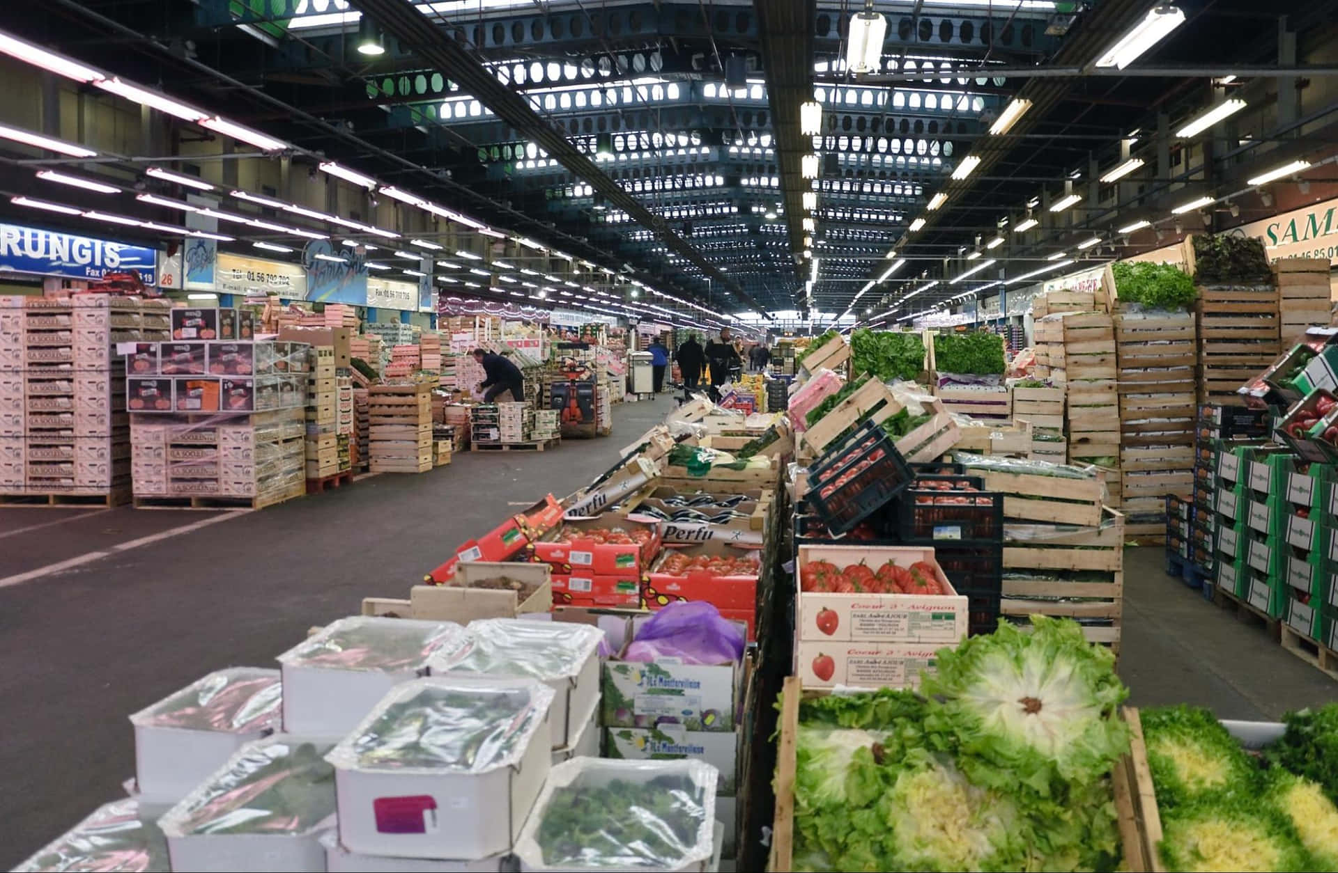 Wholesale Vegetable Market Background