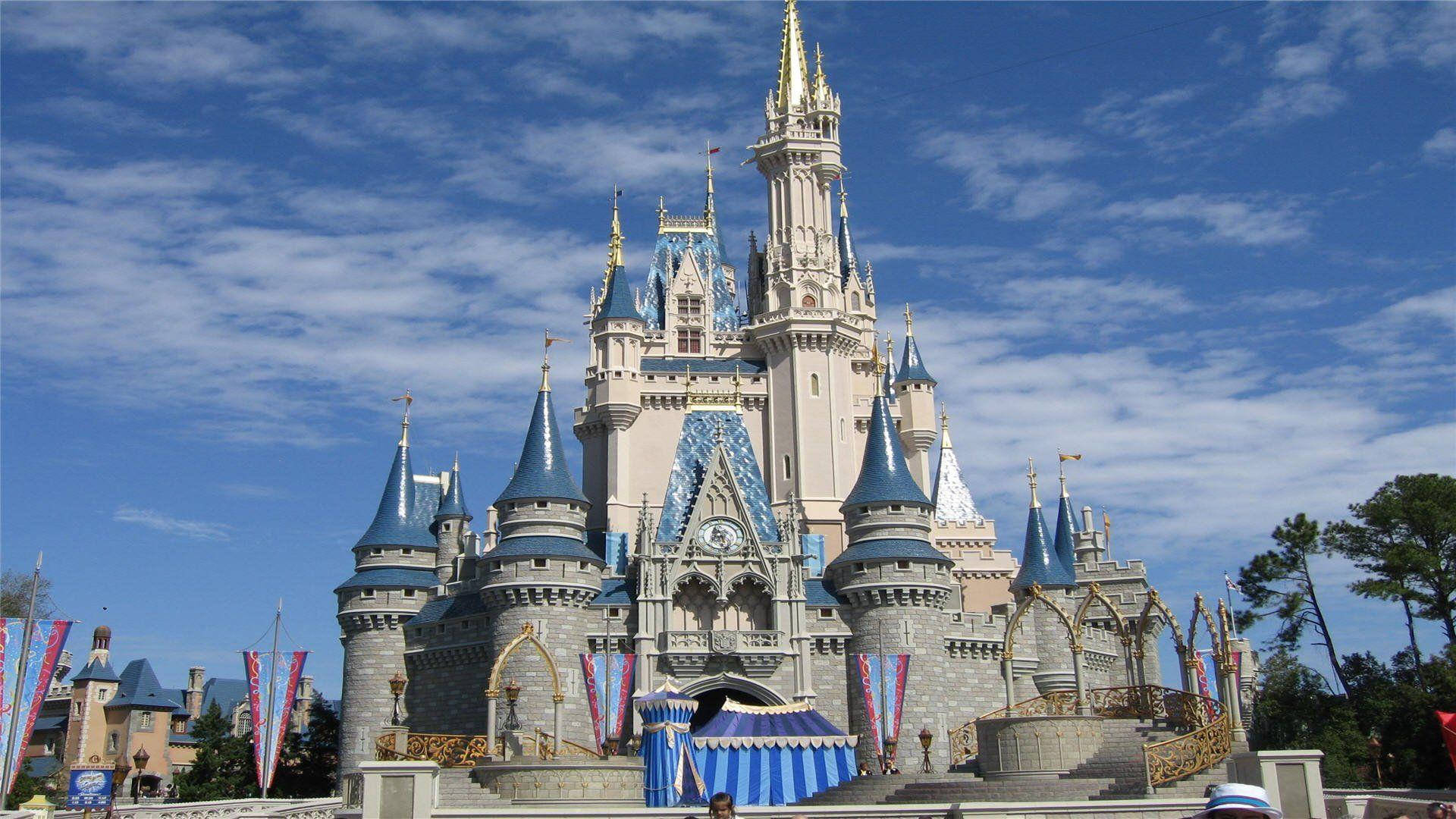 Wide-angle Disney Castle View