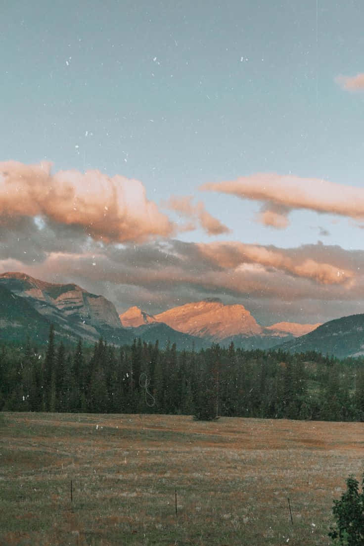 Wide Clearing With Sky Nature Aesthetic Phone Background