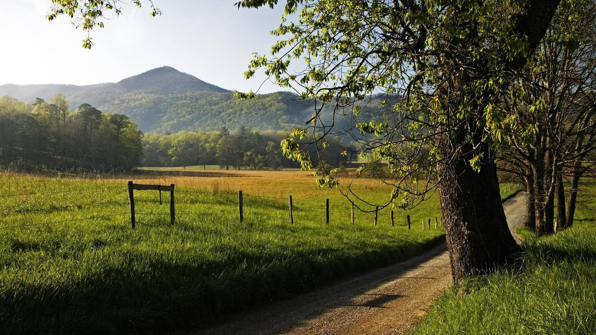 Wide Grass Field Within The Great Smoky Mountains Background