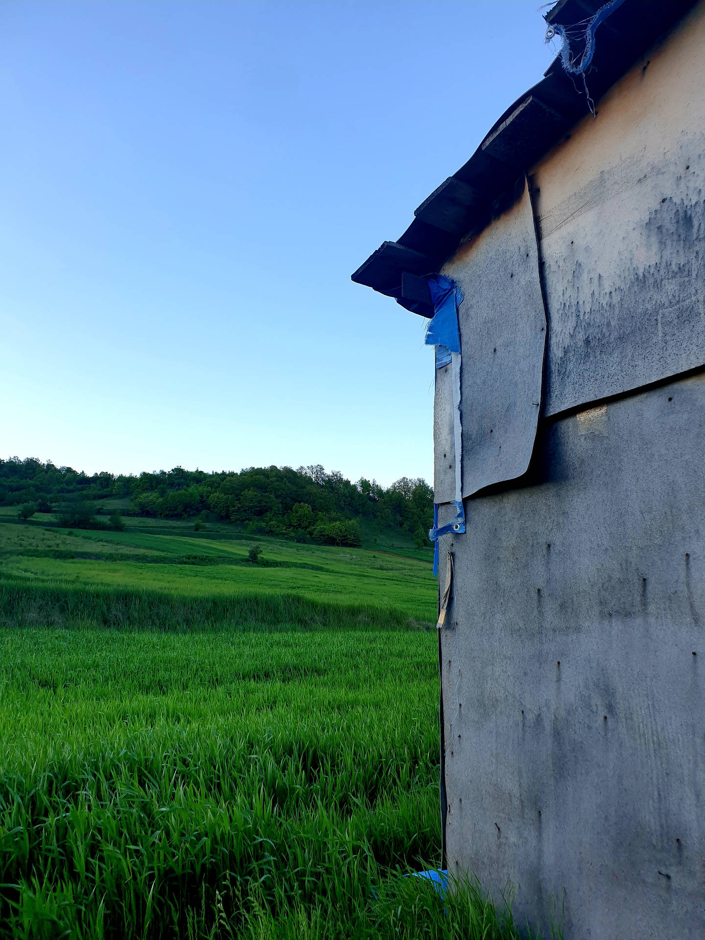 Wide Green Farm In Kosovo Background