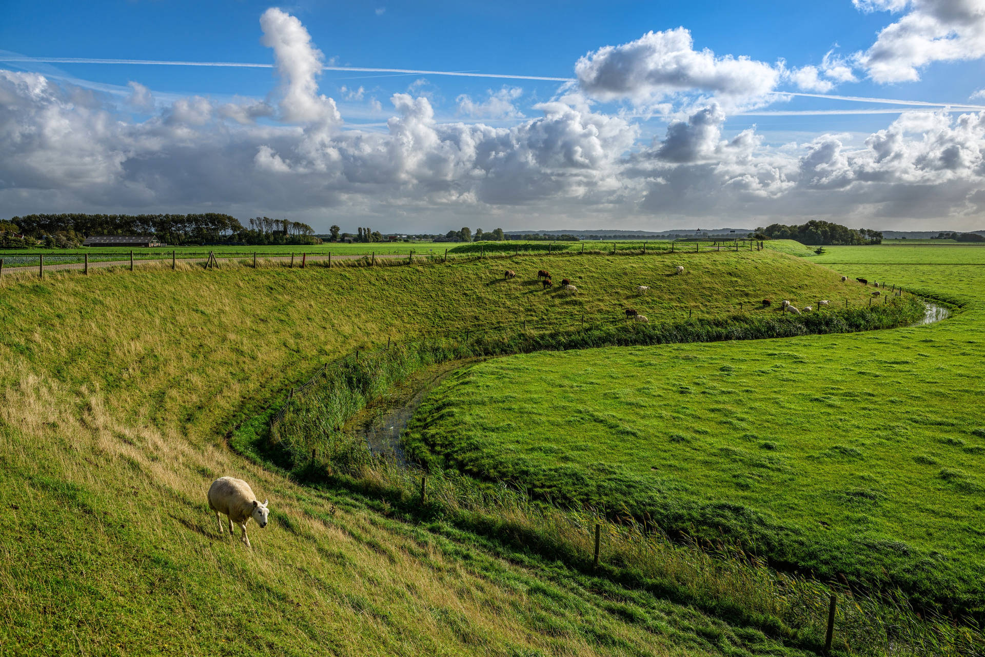 Wide Green Meadows In Sint Maarten Background