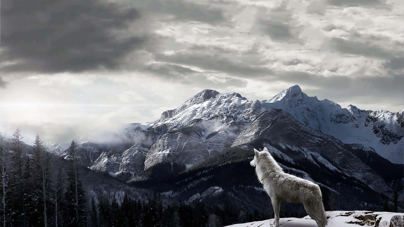 Wide Landscapes Stretching Out From A High Mountain Ridge Under A Dazzling Blue Sky Background
