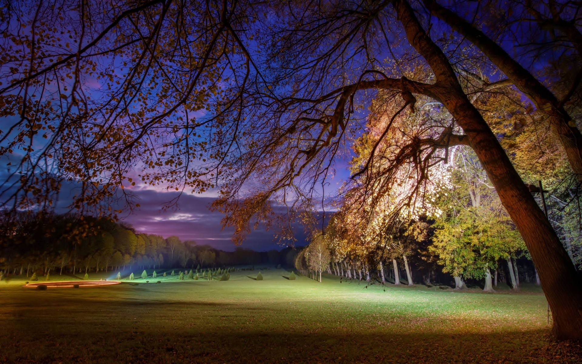 Wide Night Park Background