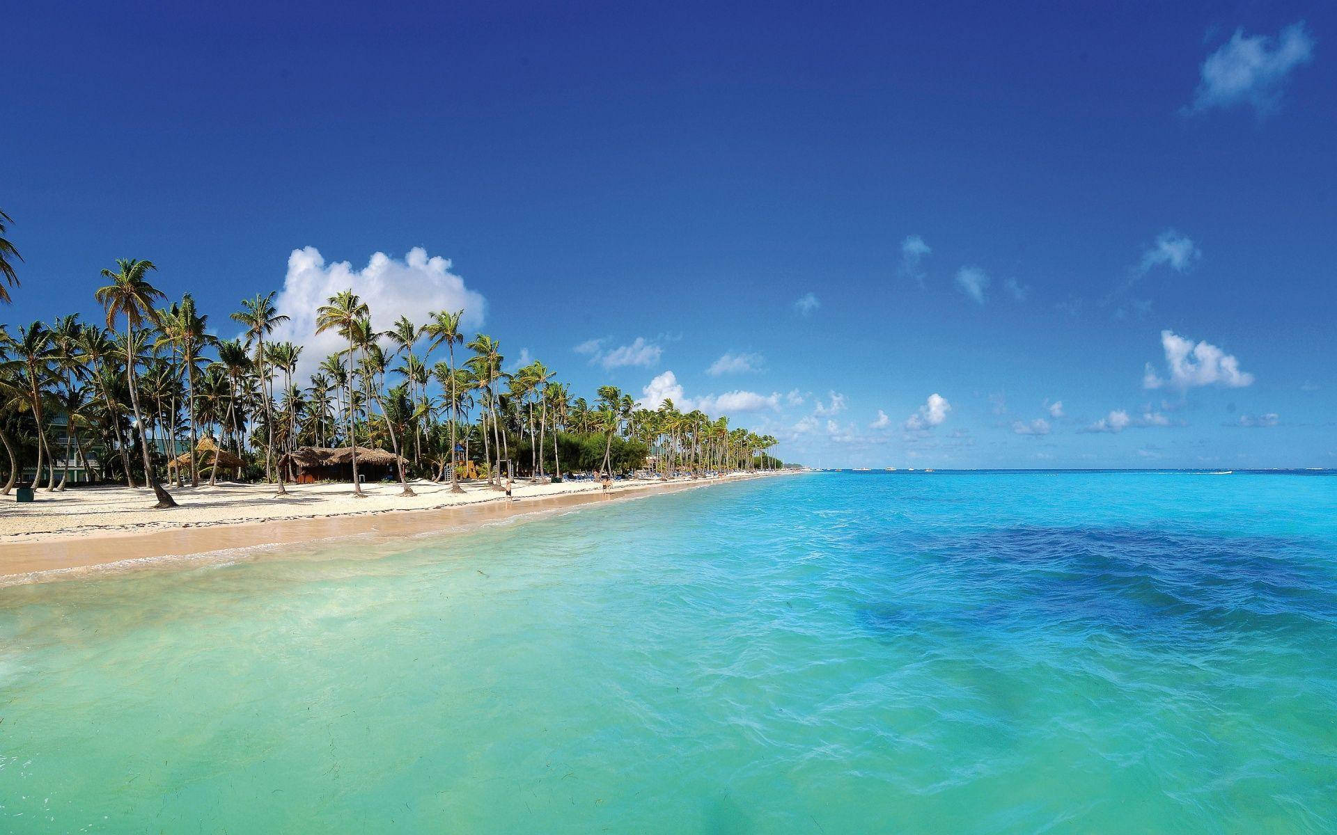 Wide Shot Dominican Republic Ocean