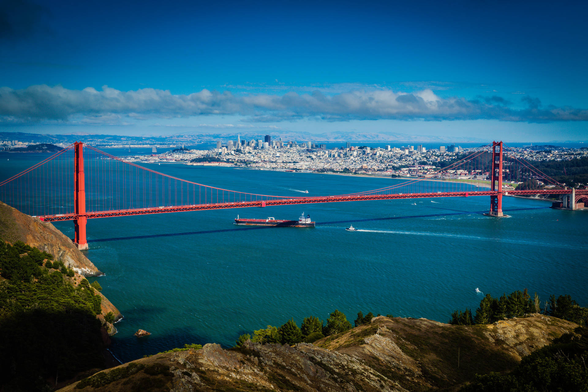 Wide Shot Skyline San Francisco Photography Background