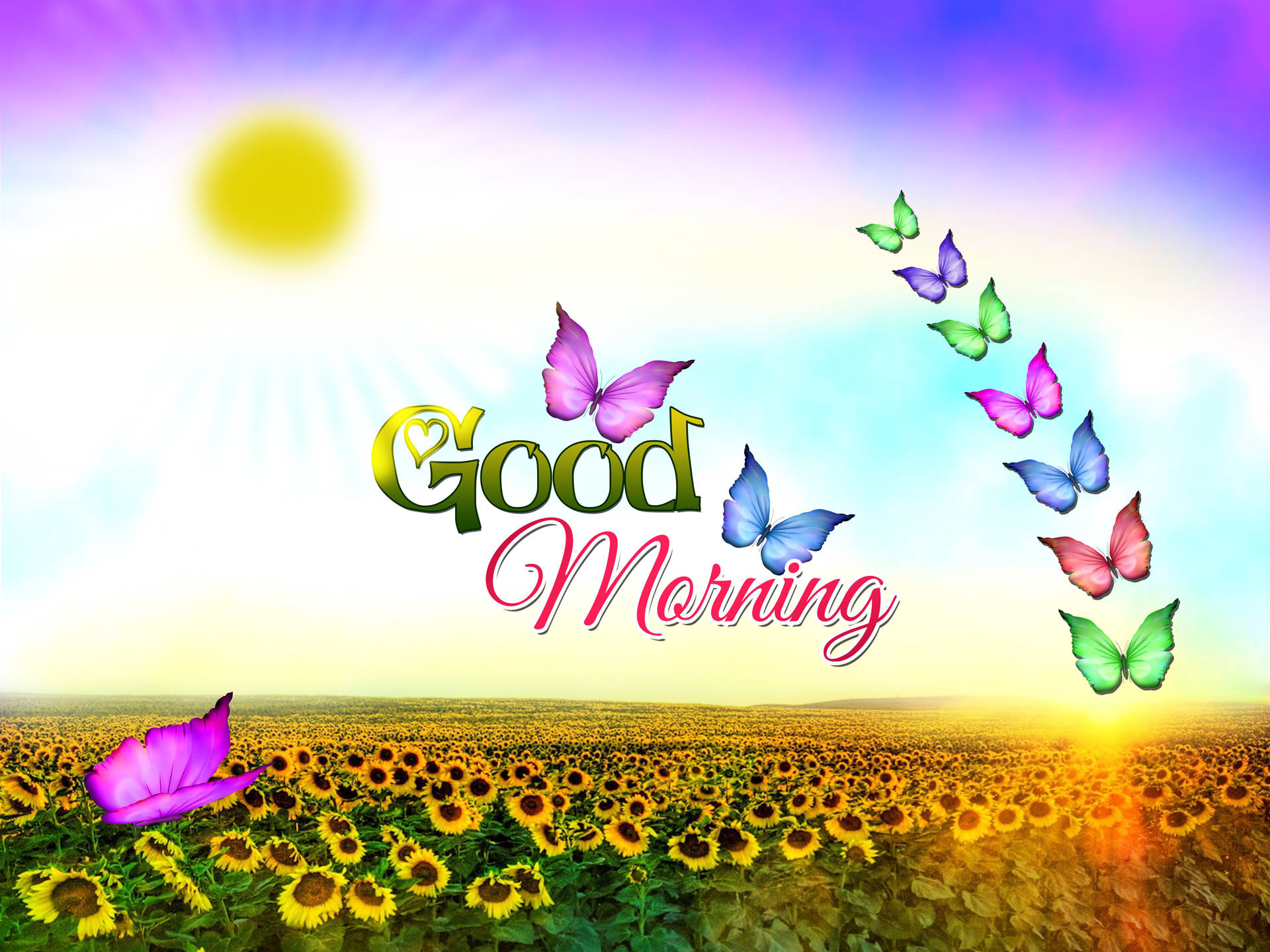 Widescreen Image About Good Morning On Nature Wallpaper High Resolution For Background