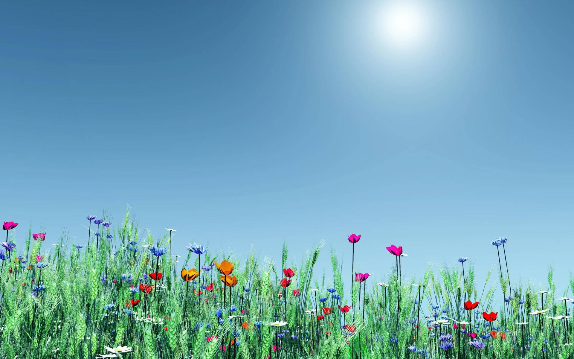 Widescreen Spring Meadows Background