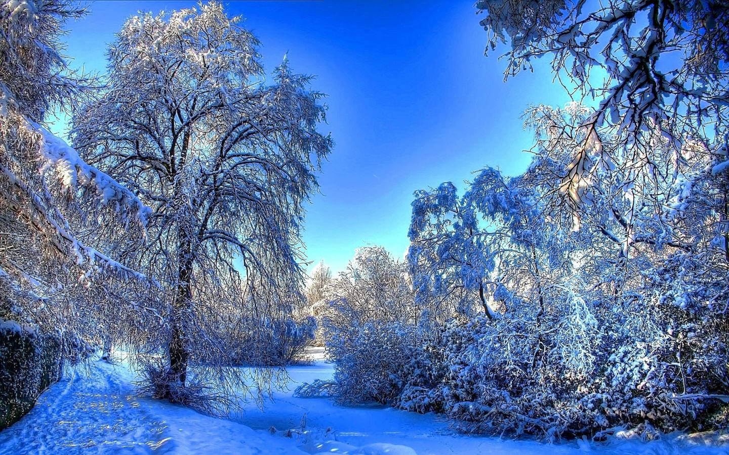Widescreen Winter Wonderland Background