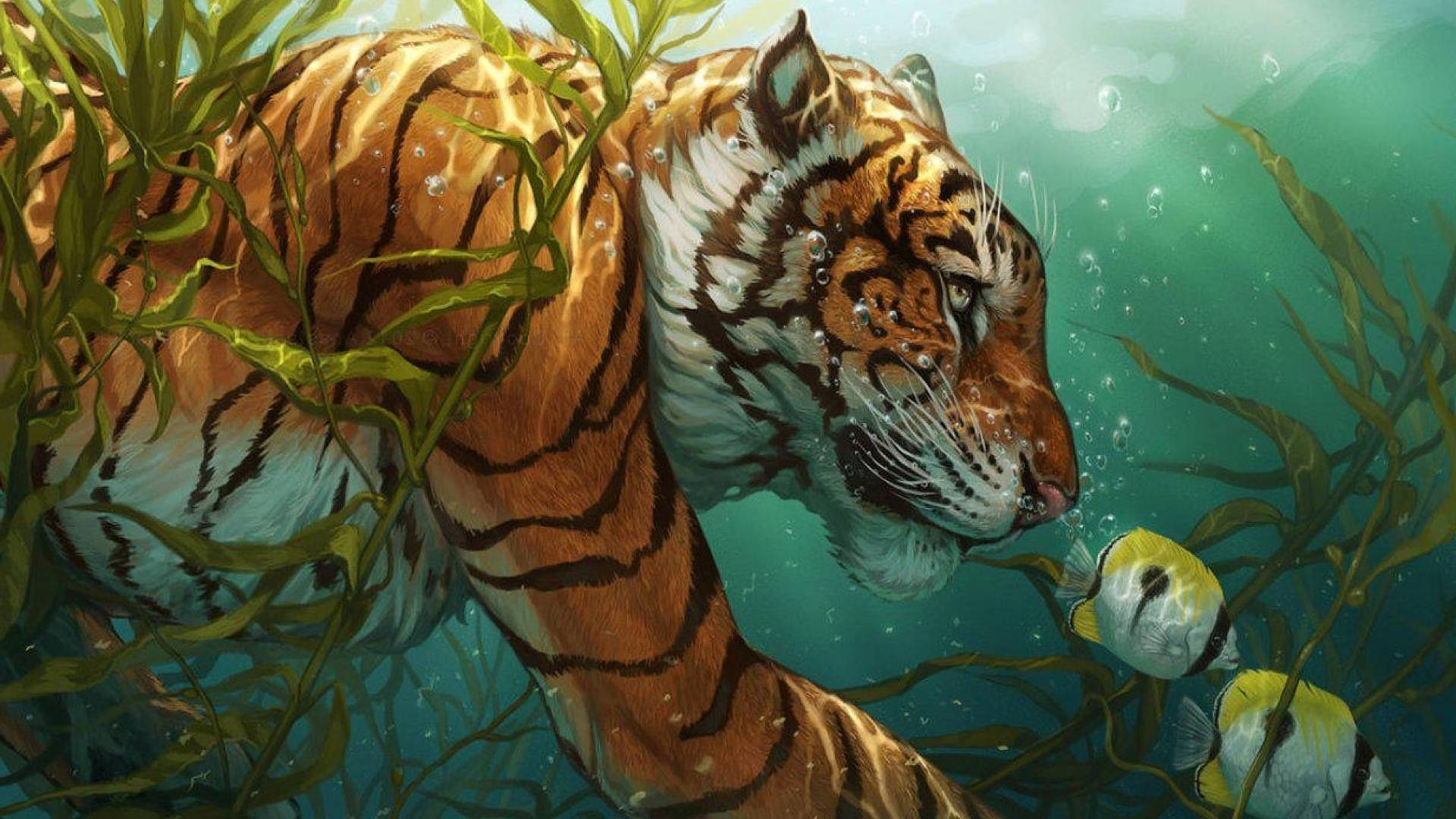 Wild Animal Tiger Swimming Background