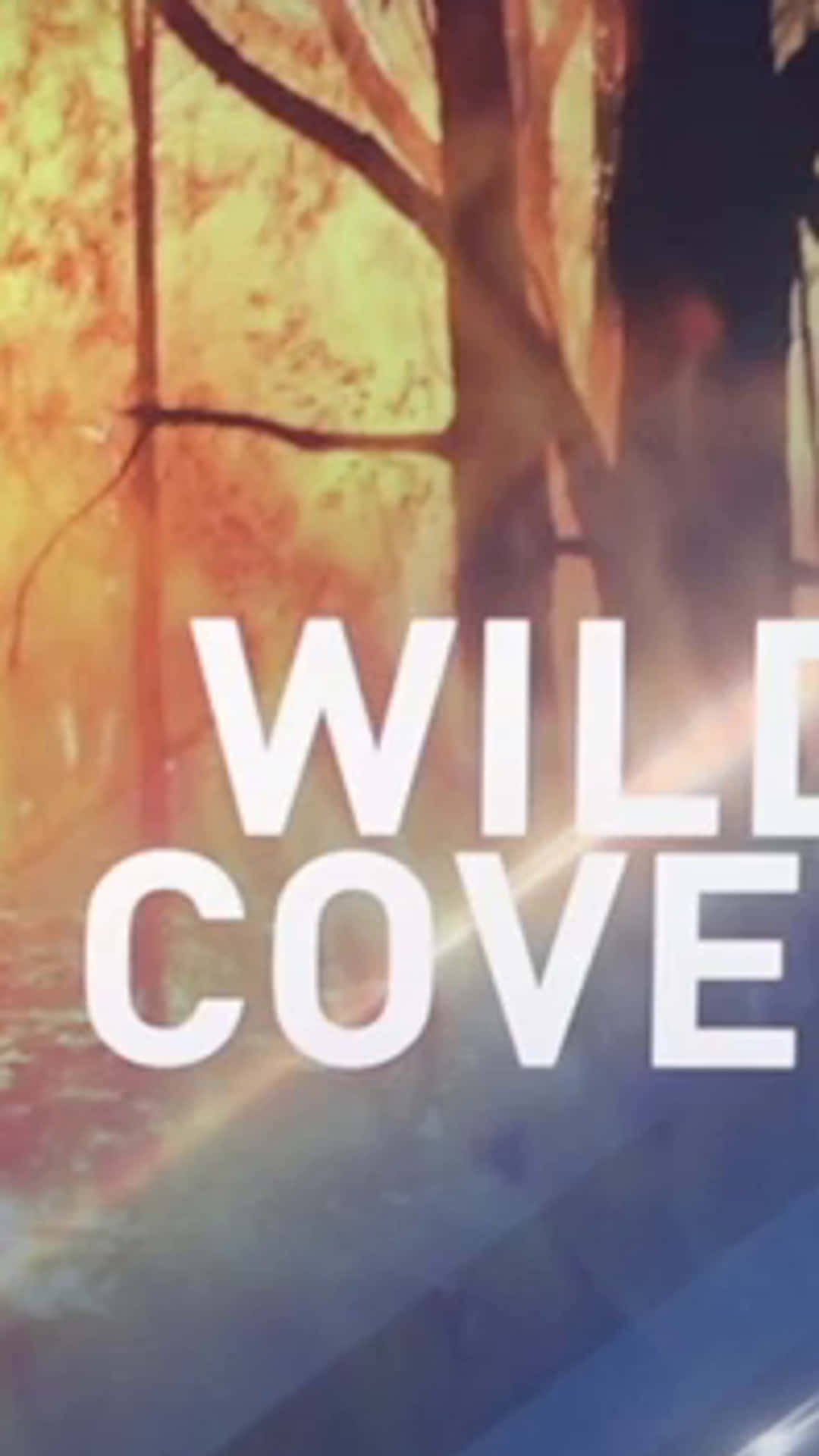 Wild Covers - A Forest In The Background Background