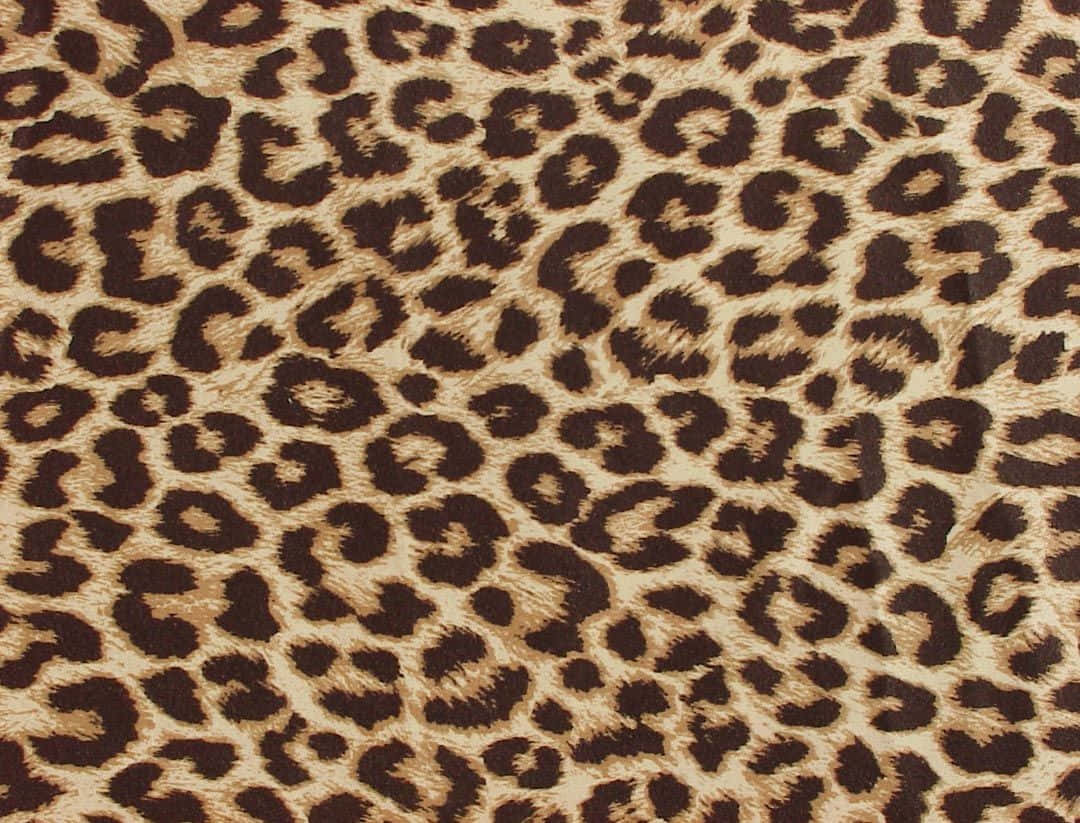 Wild Leopard Pattern Background