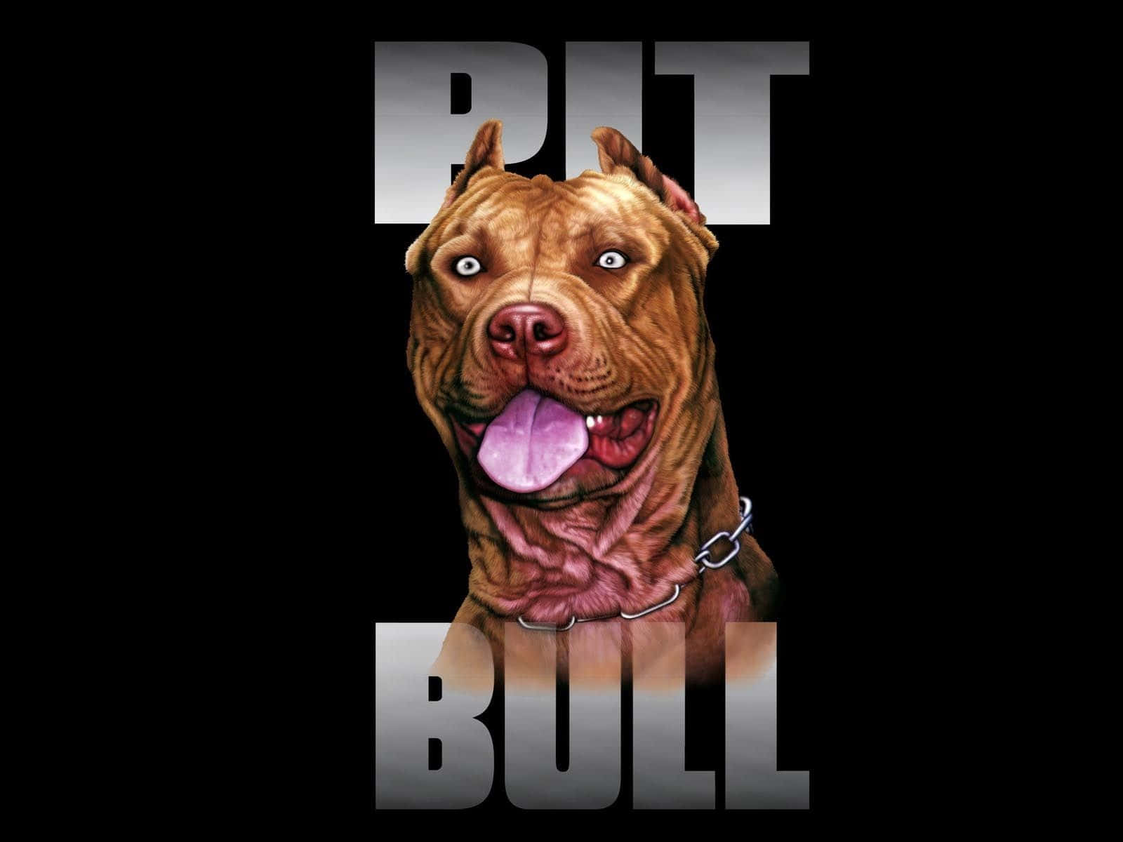 Wild Pitbull Dog Poster Background