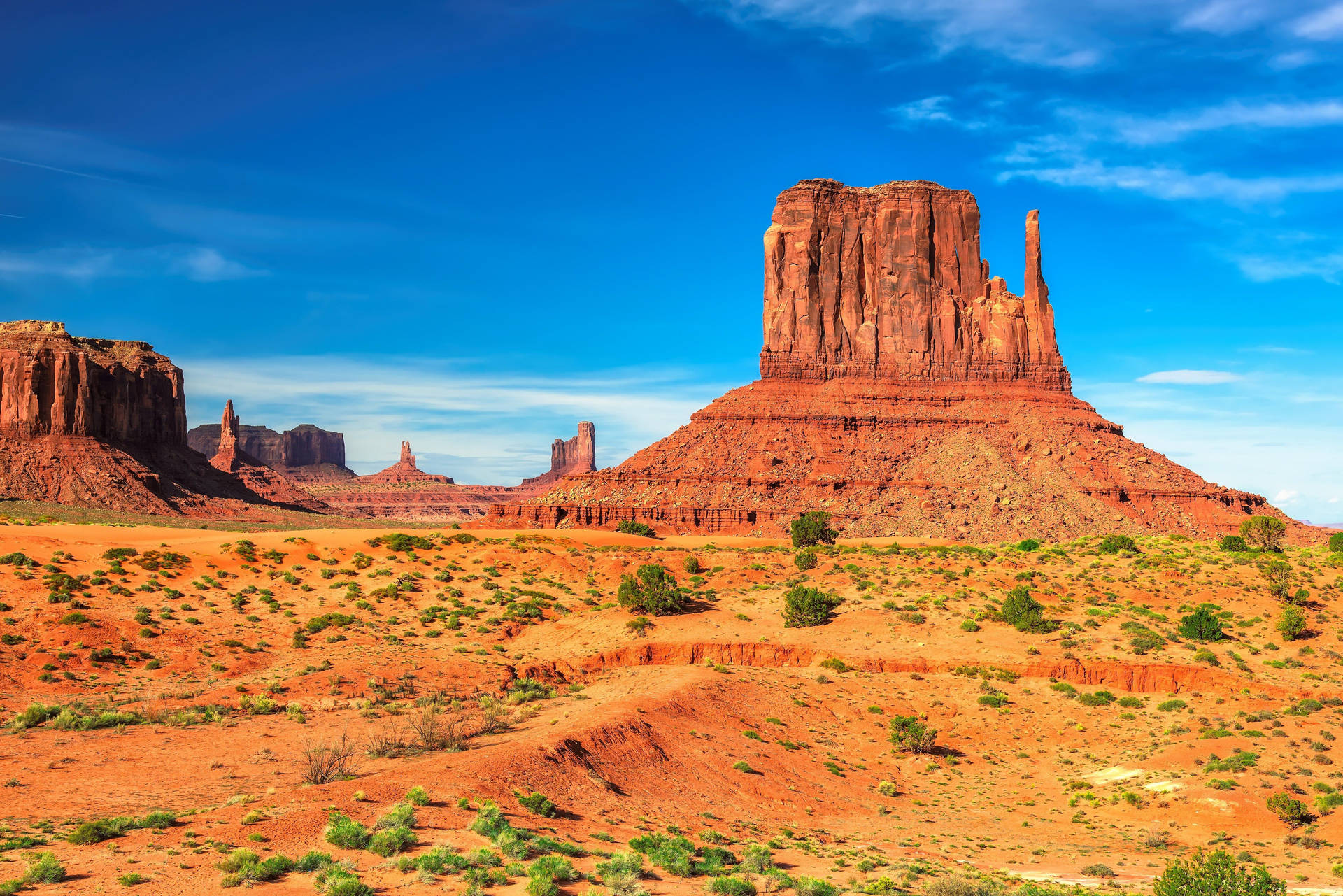 Wild Shrubs At Monument Valley Background