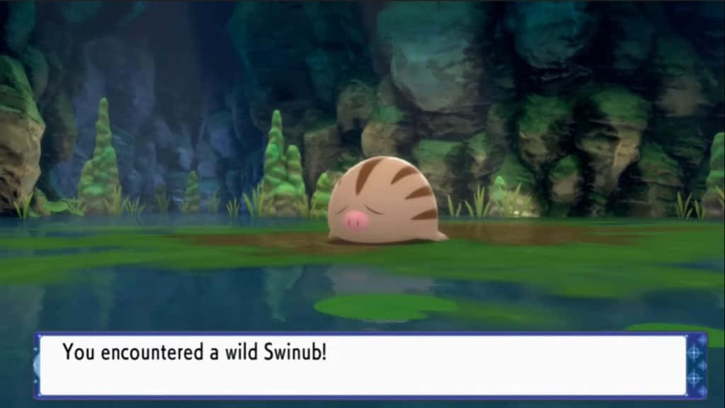 Wild Swinub Background