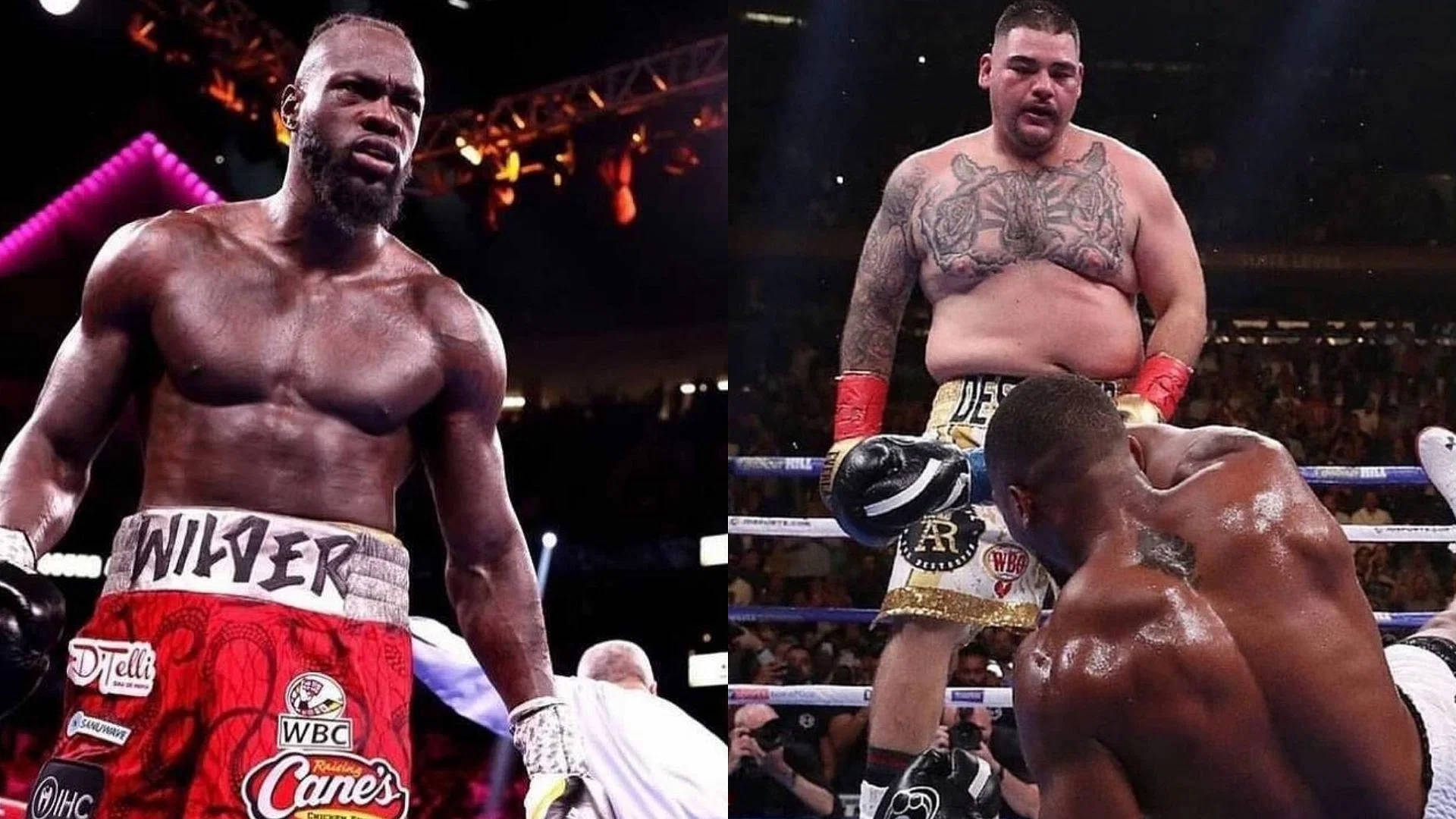 Wilder And Andy Ruiz Collage Background