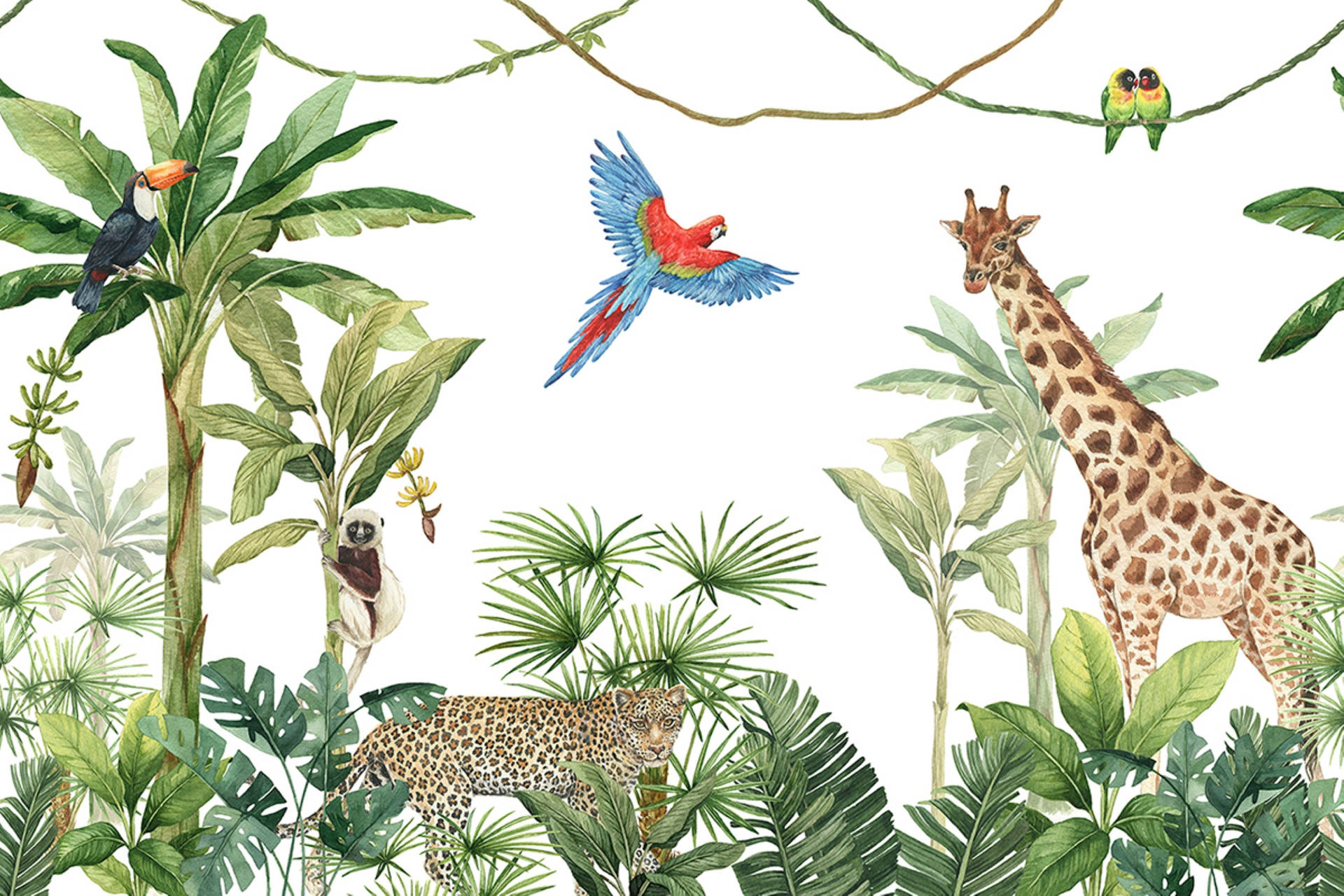 Wildlife Jungle Artwork Background