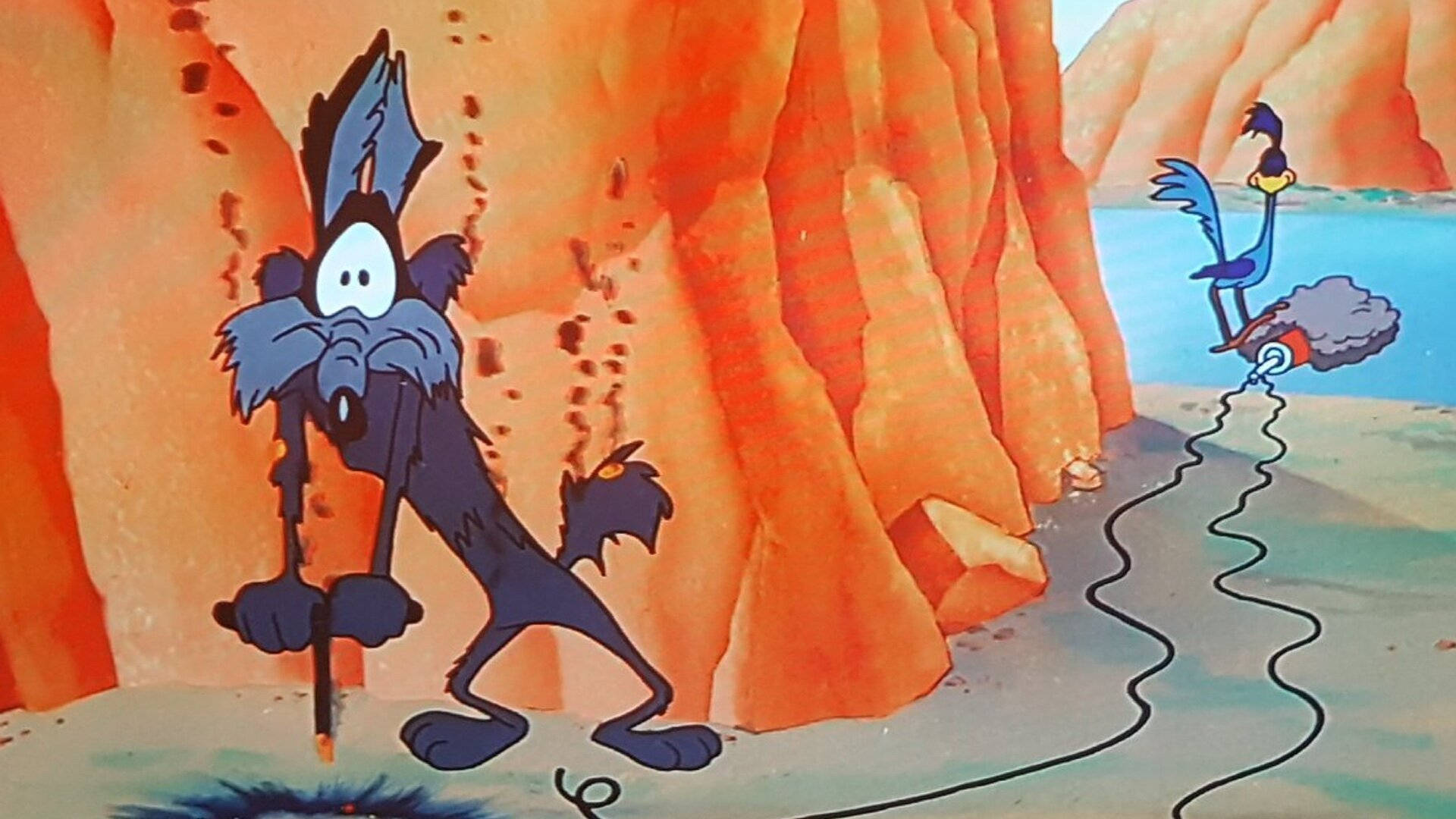 Wile E Coyote Burned Background