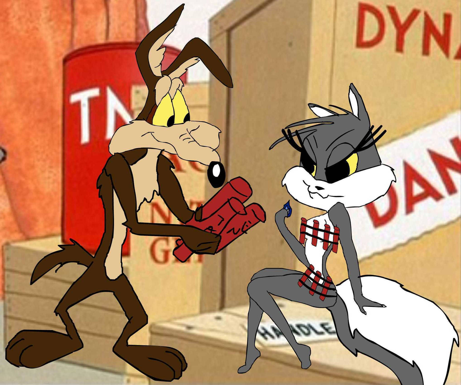 Wile E Coyote Courting A Lady Background