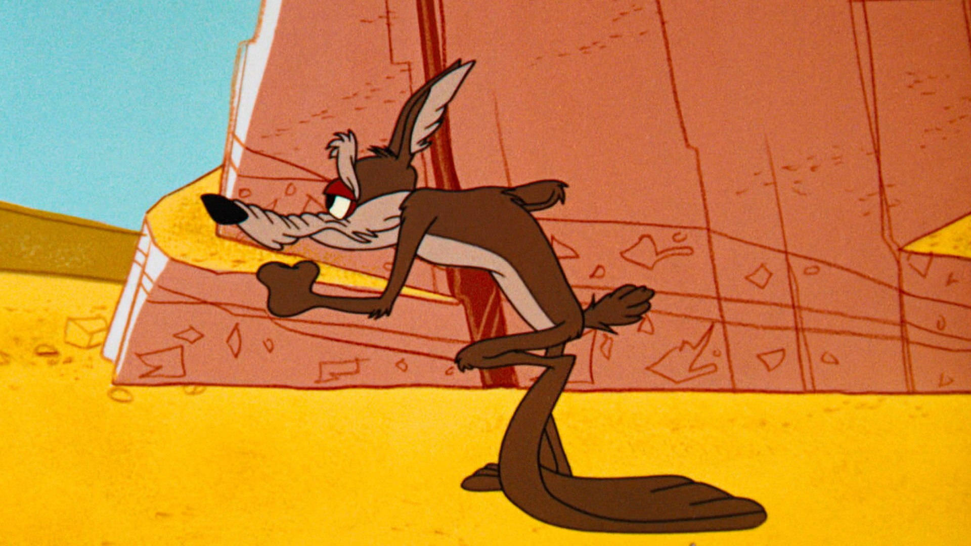 Wile E. Coyote Exhausted After Numerous Failed Attempts.