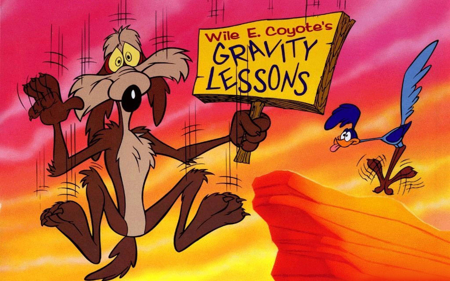 Wile E Coyote Gravity Lessons Banner