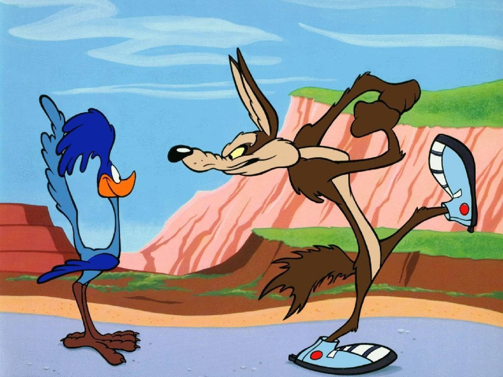 Wile E Coyote With Blue Shoes Background