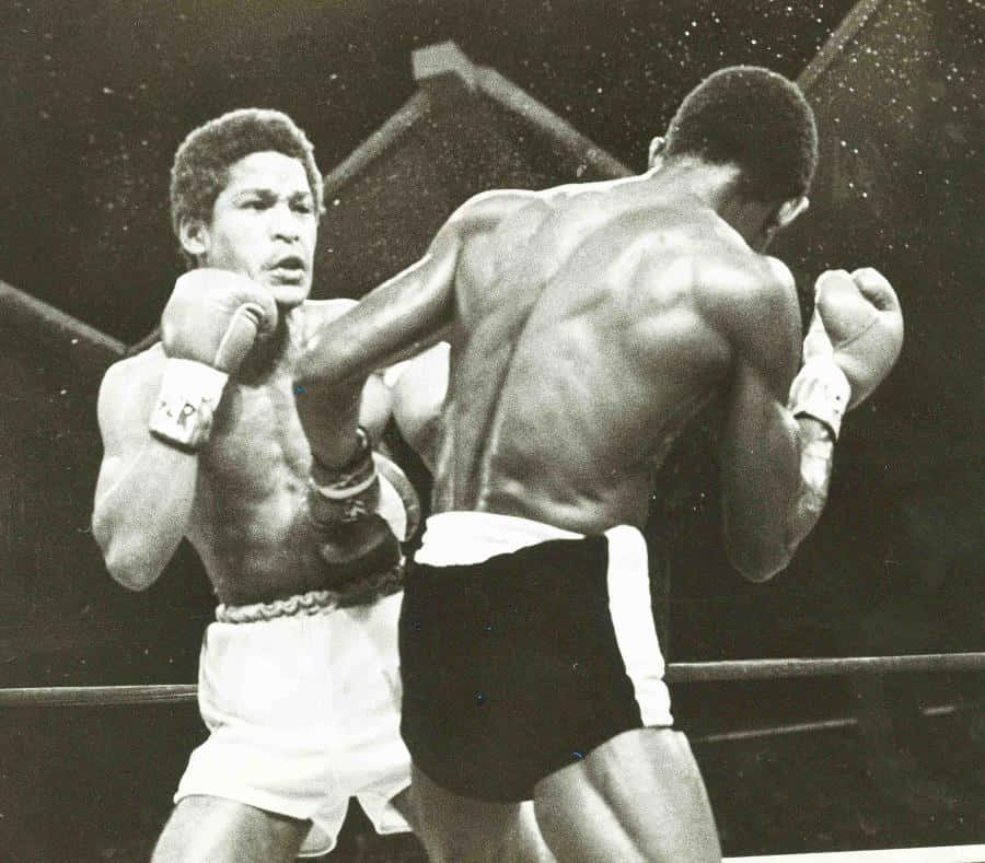 Wilfred Benítez Punch Colombian Antonio Cervantes Background