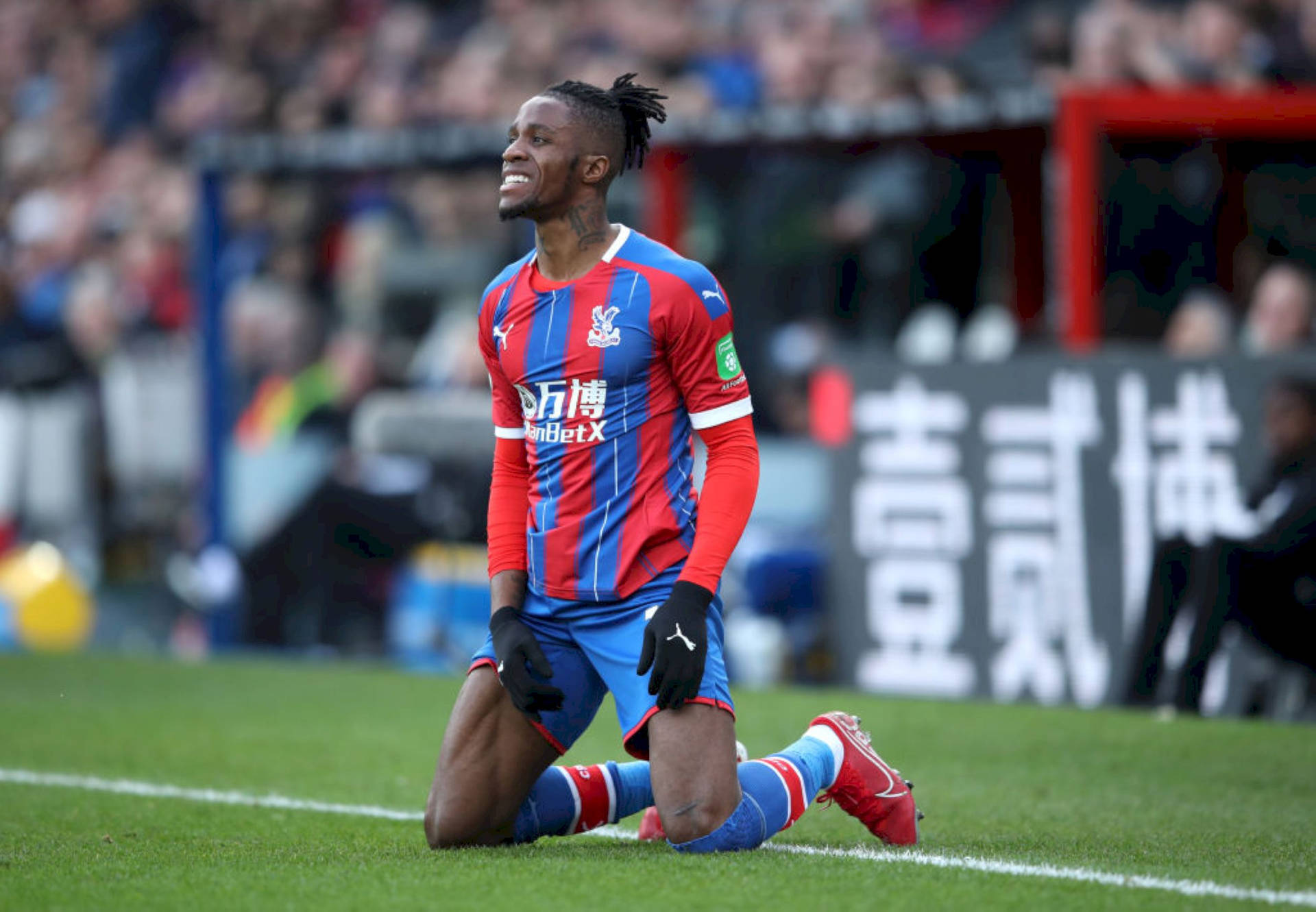 Wilfried Zaha Kneeling On Football Field Background