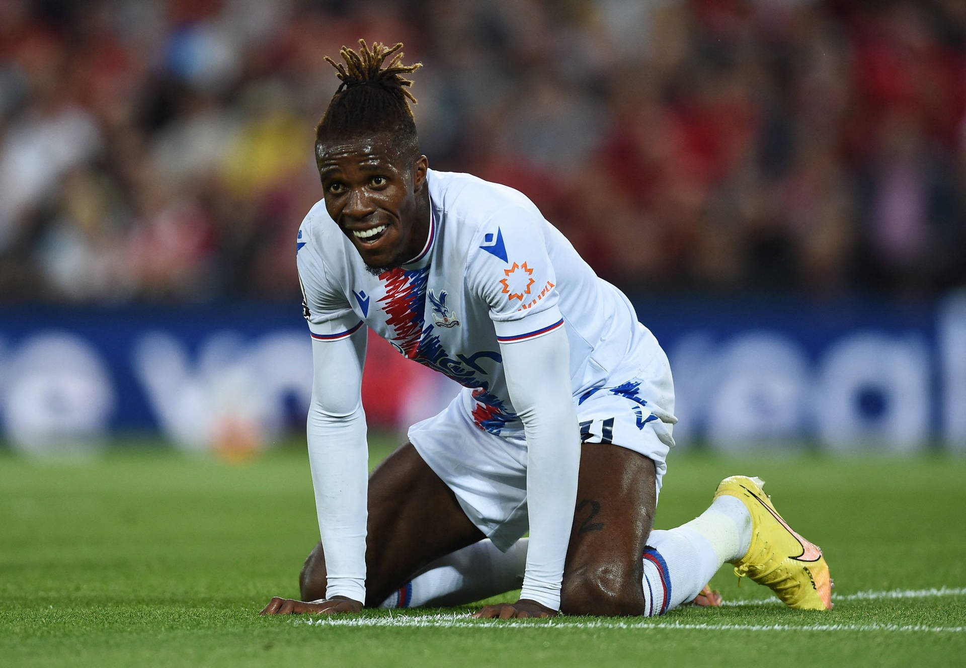 Wilfried Zaha Kneeling On Grassy Field Background