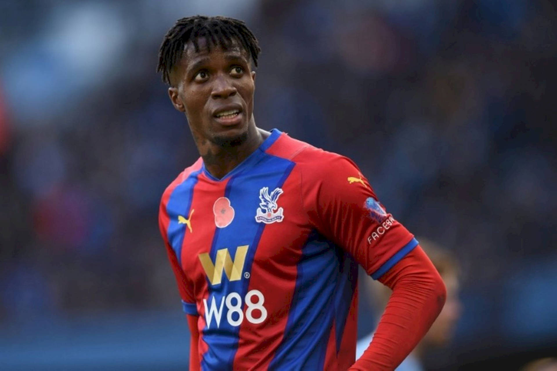 Wilfried Zaha Looking Up Background