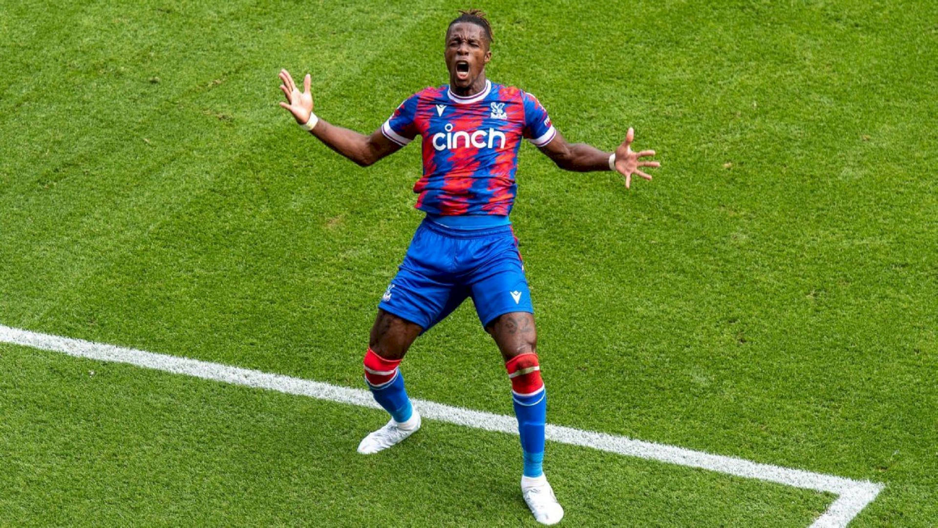 Wilfried Zaha On Grassy Field Background