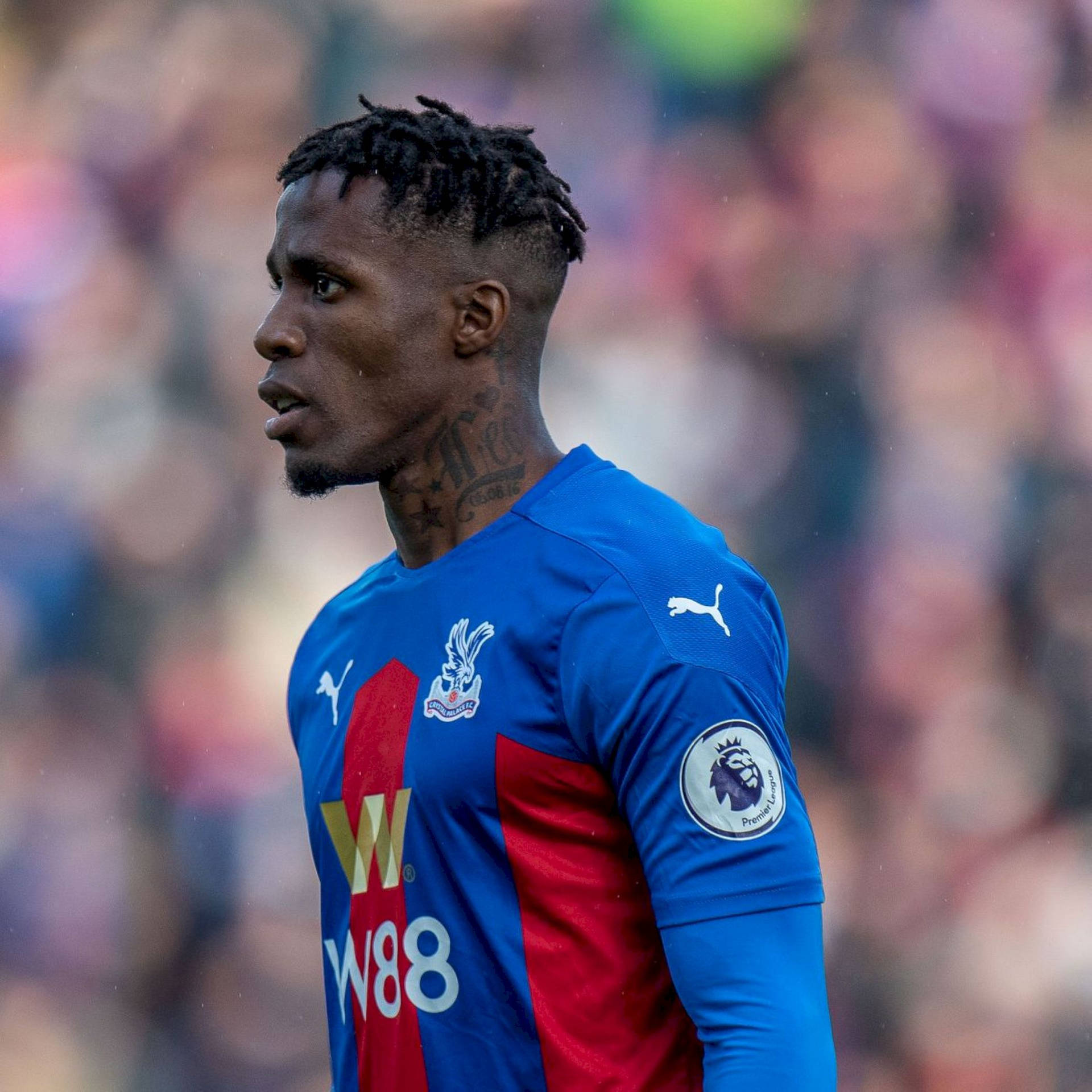 Wilfried Zaha Side Profile