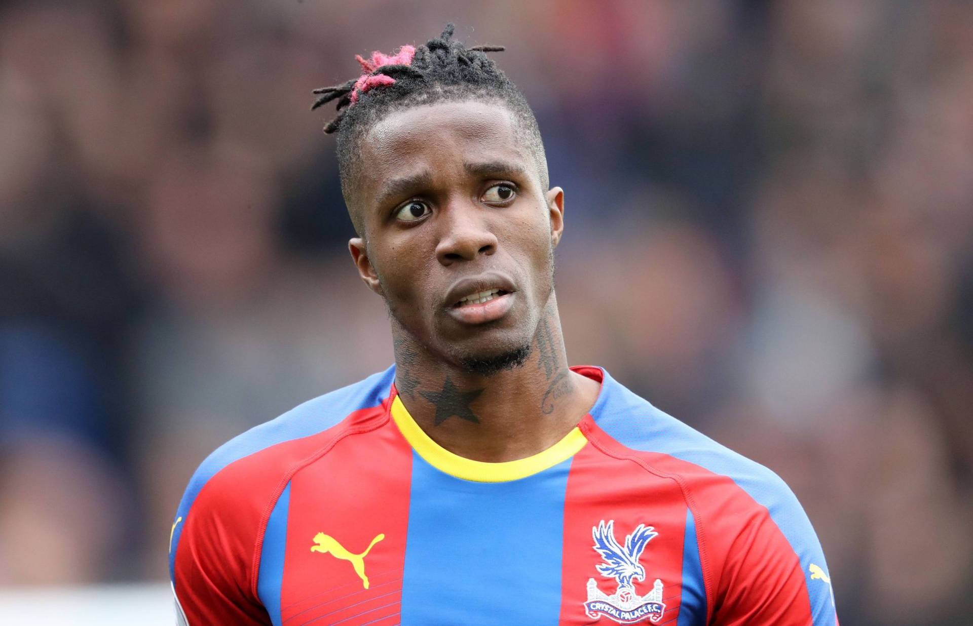 Wilfried Zaha With Pink In Hair