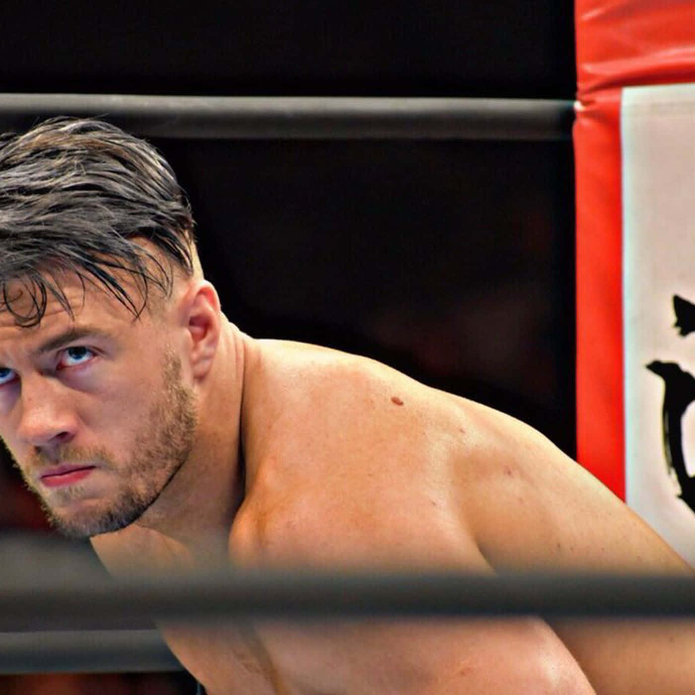 Will Ospreay In Fierce Stance Background
