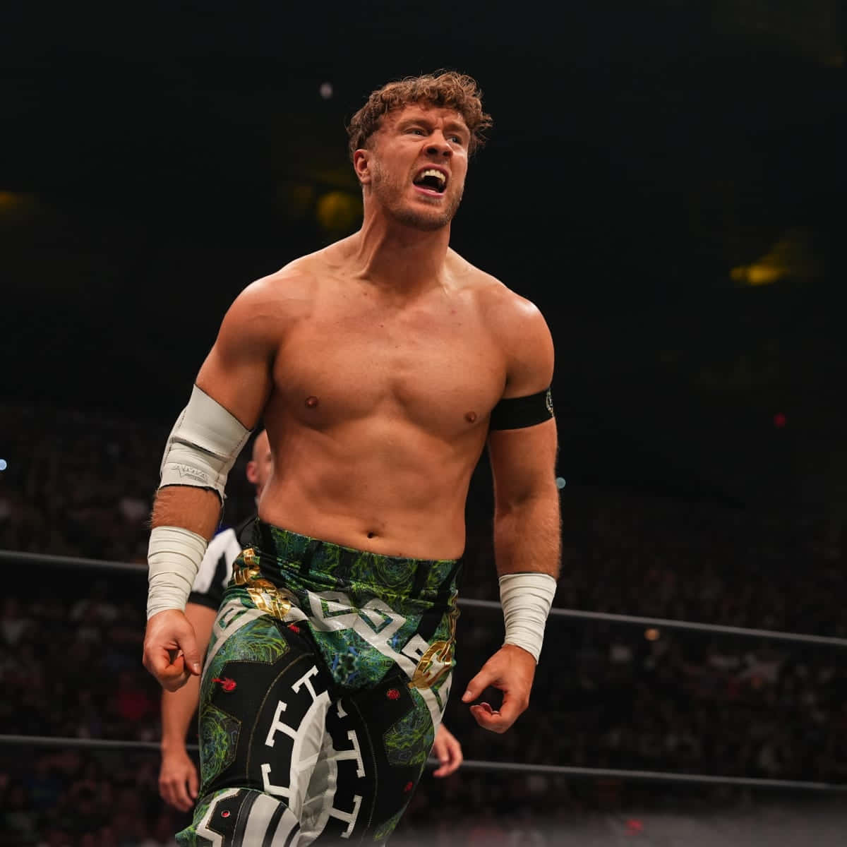 Will Ospreay, The Aerial Assassin In Action Background