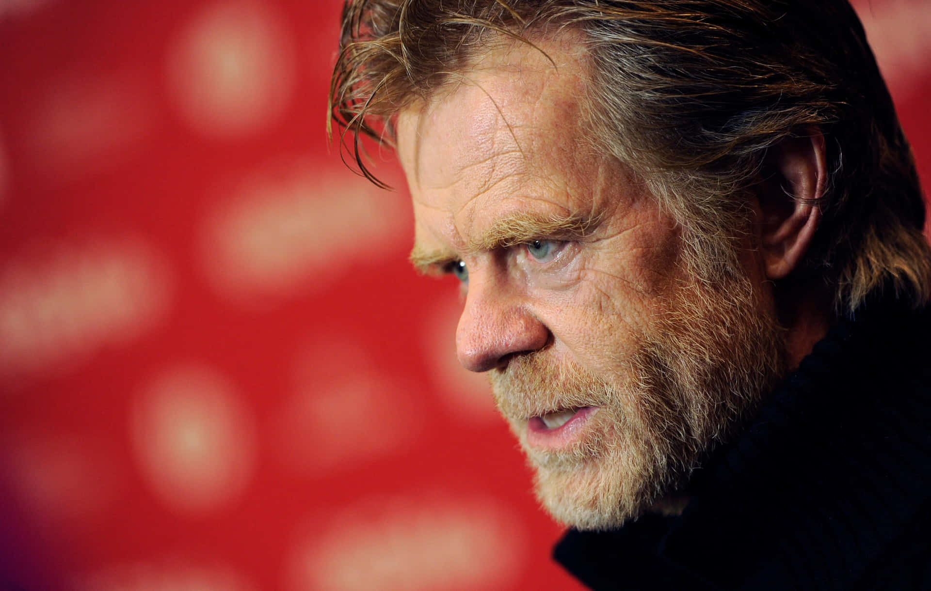 William H. Macy Posing For A Portrait Background