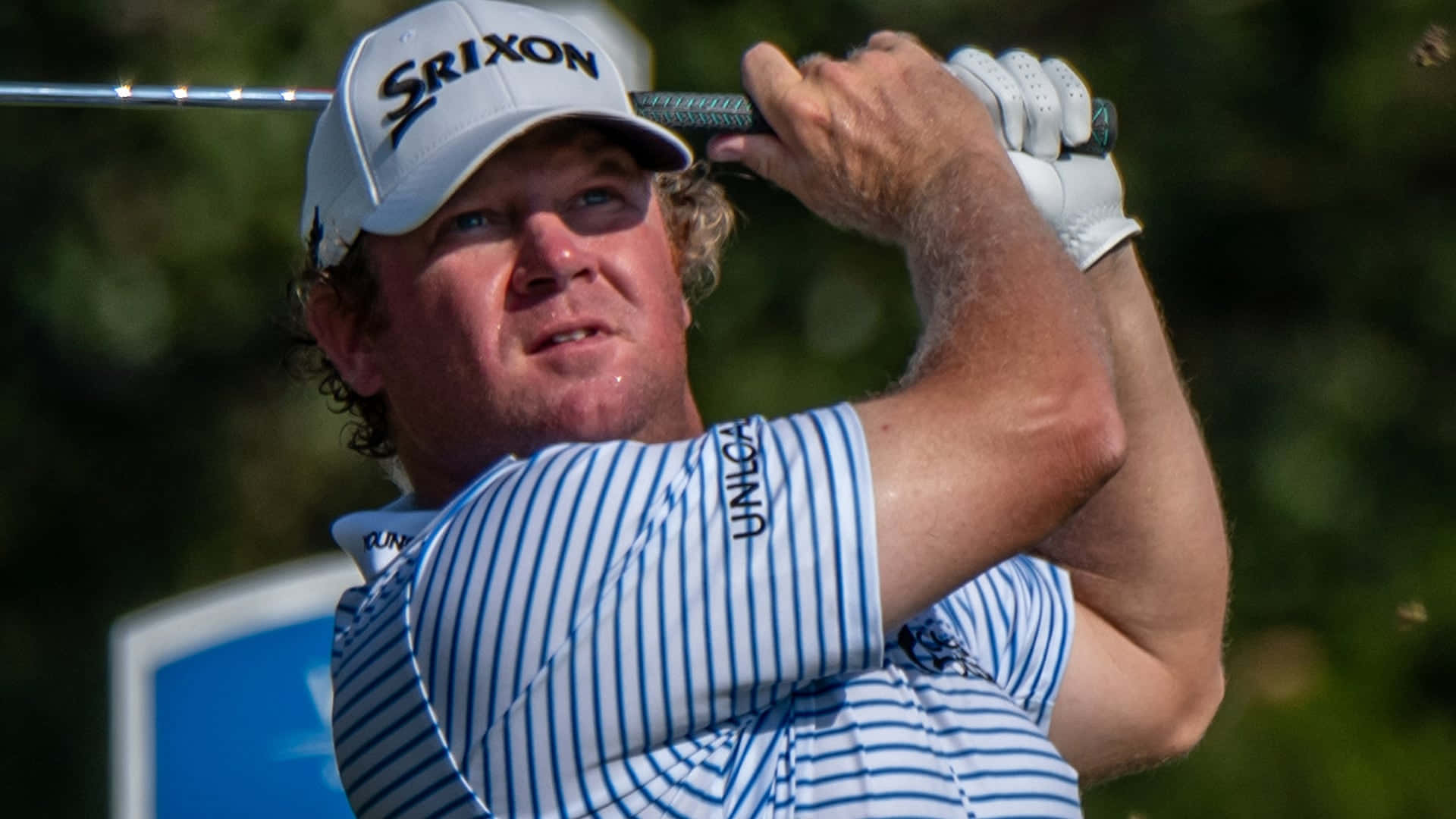 William Mcgirt Looking Afar Background