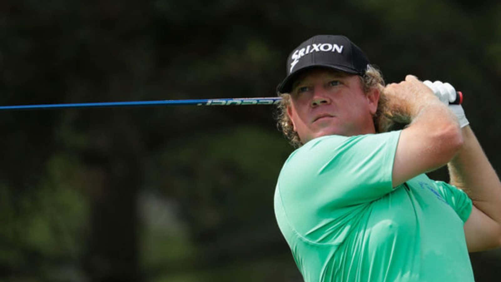 William Mcgirt Looking Afar Background