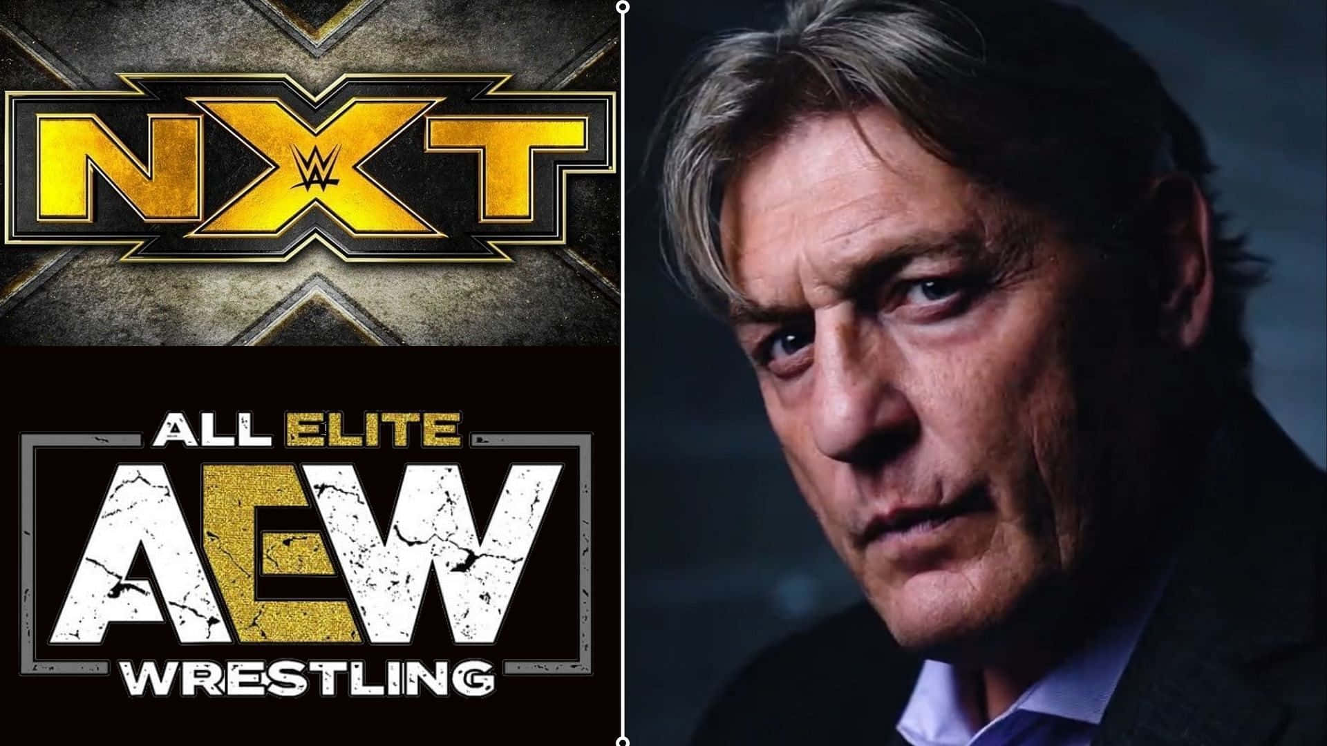 William Regal In Wwe Action