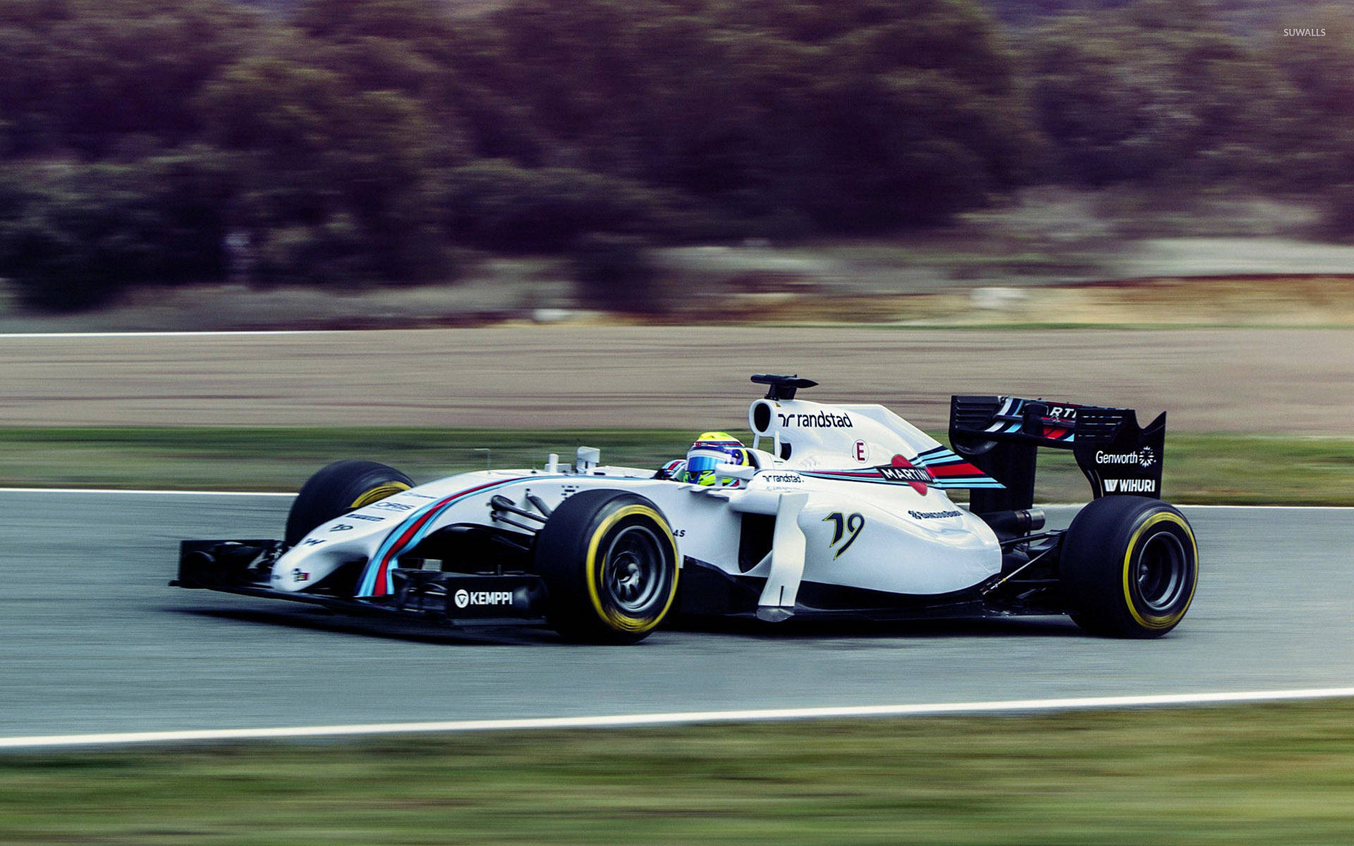 Williams Sports Car In Action