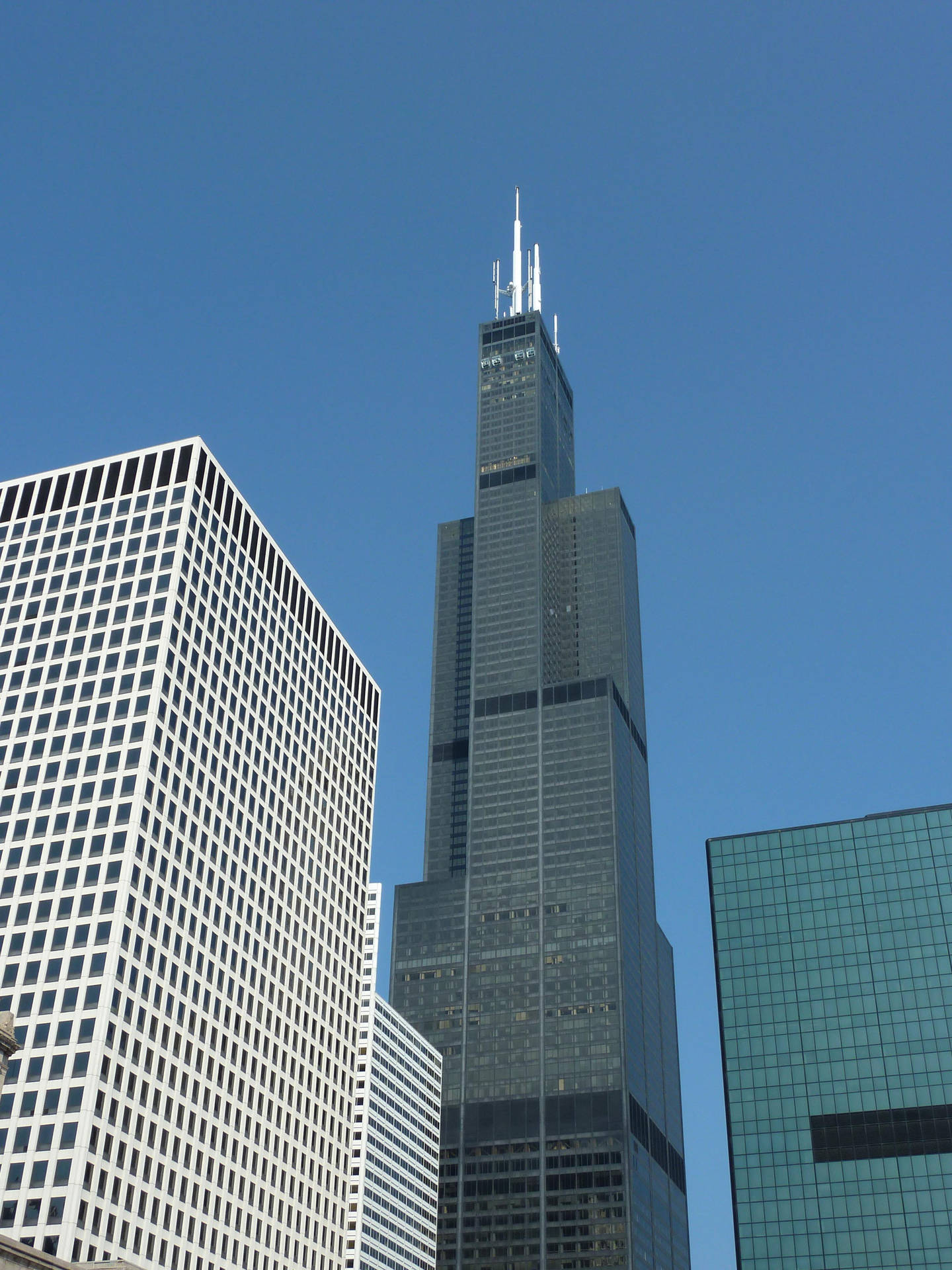 Willis Tower Famous Tourist Attraction Background