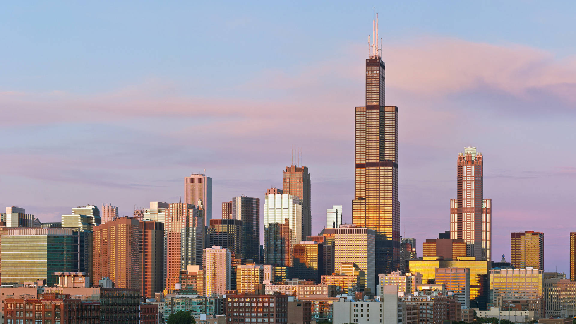 Willis Tower Tallest Building Background